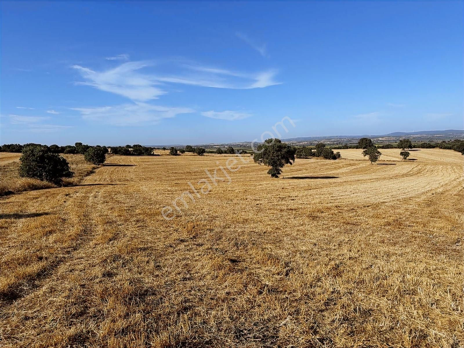 Çanakkale Mahmudiye'de Değerli Mevkide Yola Cephe 33.600m2 Tarla - Görsel 25