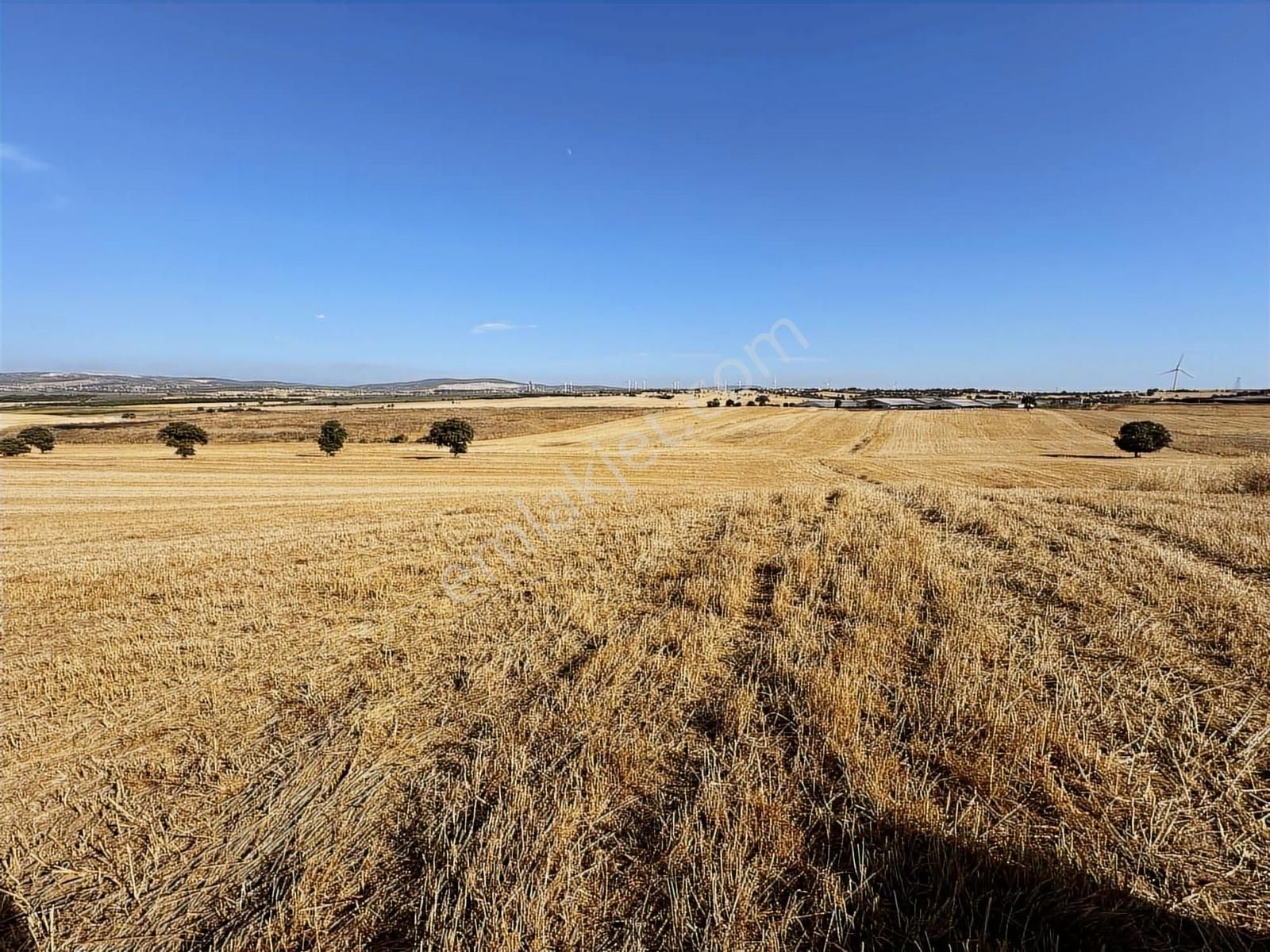 Çanakkale Mahmudiye'de Değerli Mevkide Yola Cephe 33.600m2 Tarla - Görsel 7