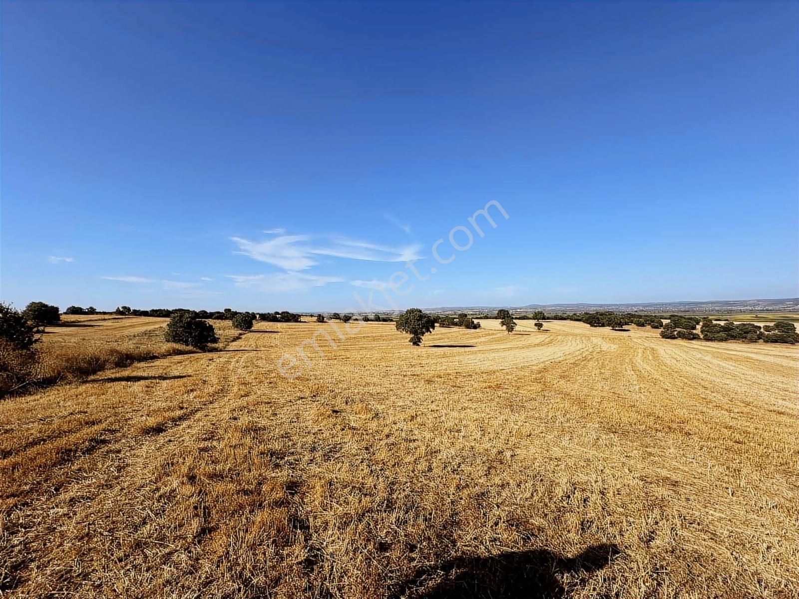 Çanakkale Mahmudiye'de Değerli Mevkide Yola Cephe 33.600m2 Tarla - Görsel 11