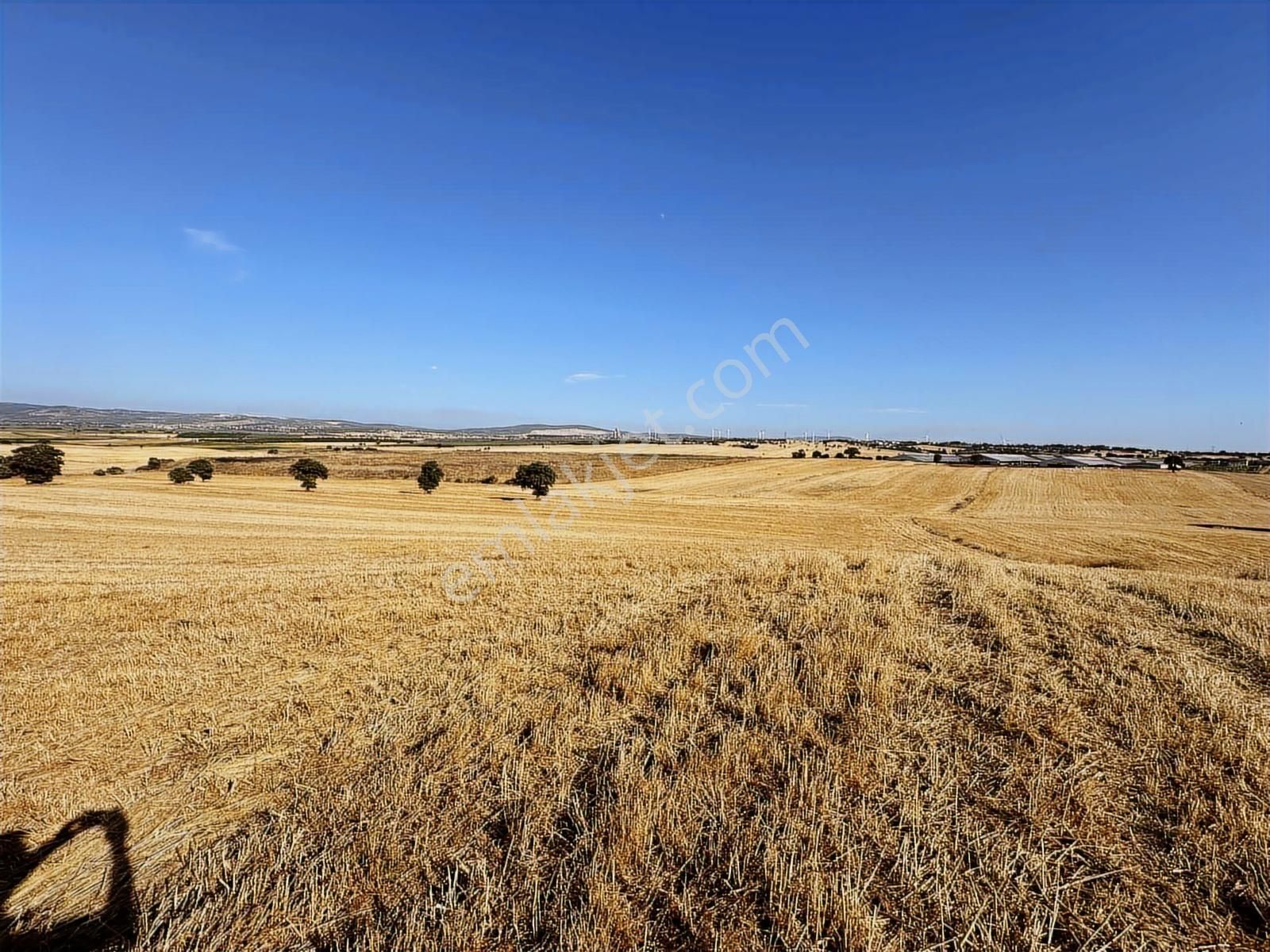 Çanakkale Mahmudiye'de Değerli Mevkide Yola Cephe 33.600m2 Tarla - Görsel 13