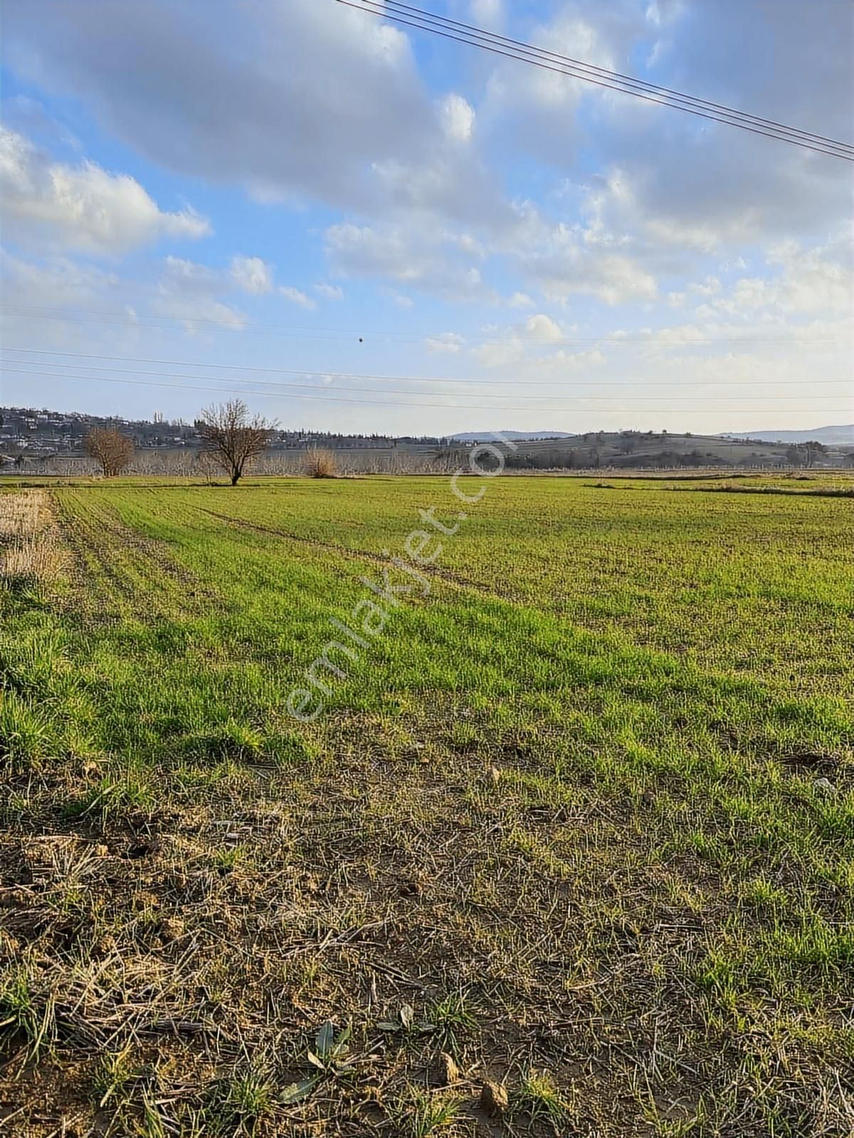 Gelibolu Kavak'ta Köye Ve Suya Çok Yakın 1624 M2 Müstakil Parsel - Görsel 28