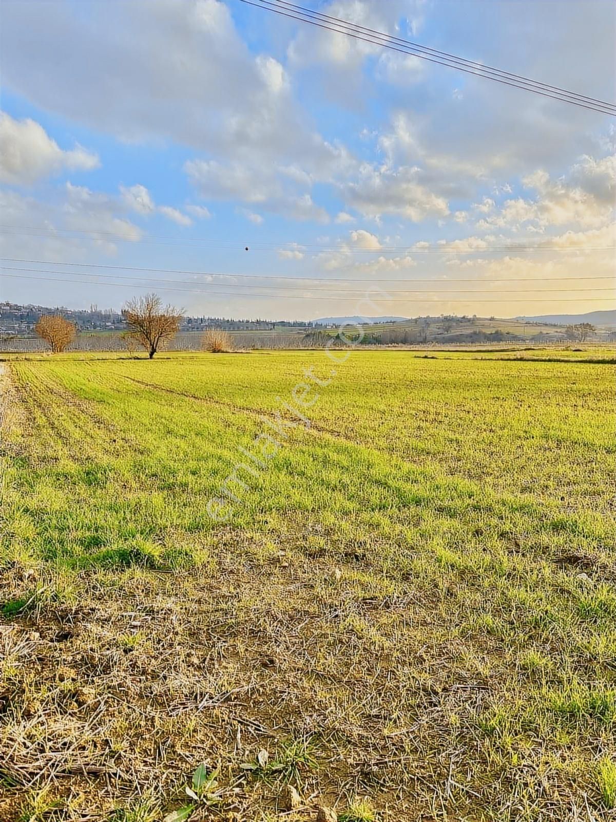Gelibolu Kavak'ta Köye Ve Suya Çok Yakın 1624 M2 Müstakil Parsel - Görsel 4