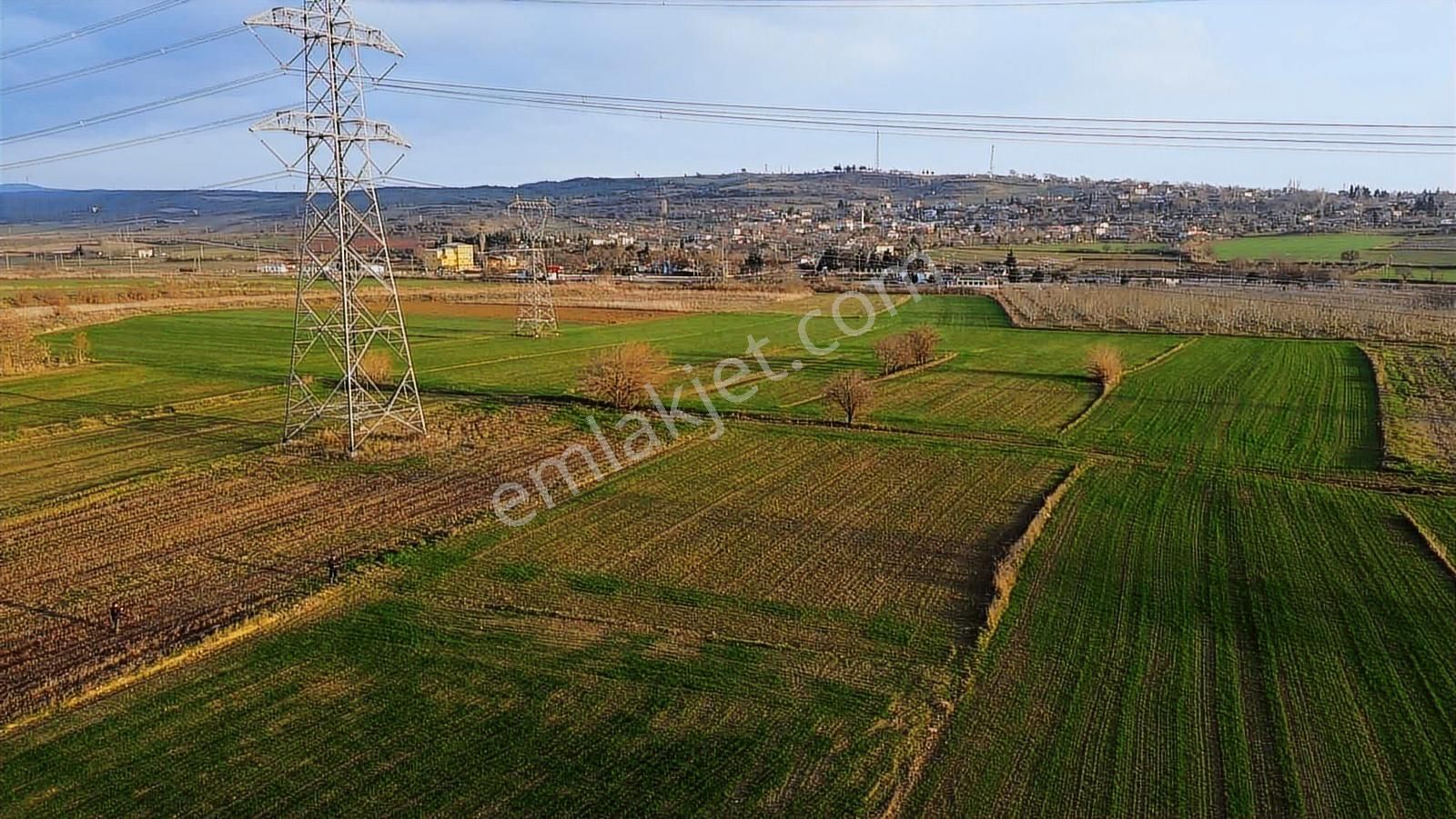 Gelibolu Kavak'ta Köye Ve Suya Çok Yakın 1624 M2 Müstakil Parsel - Görsel 26