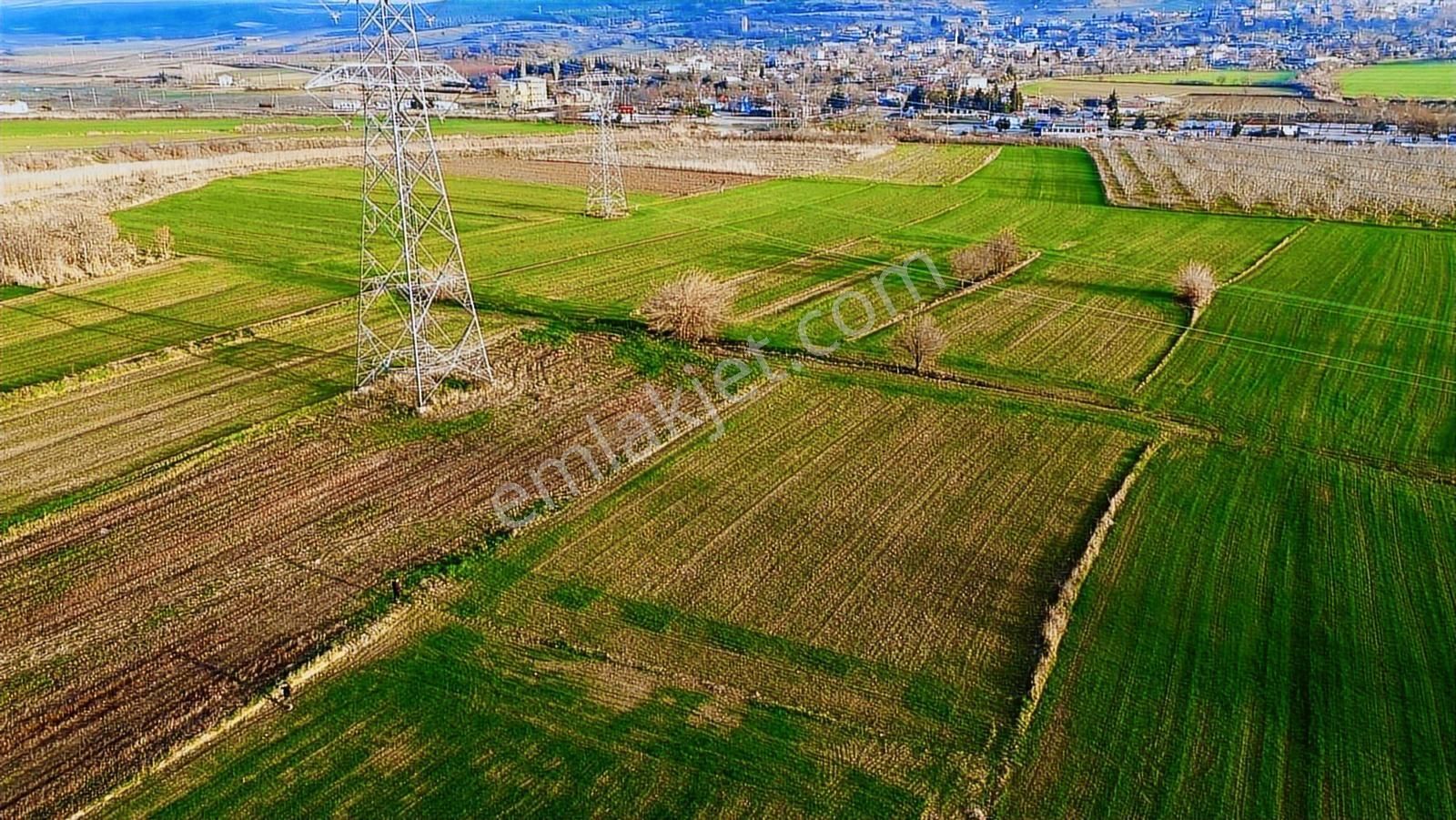 Gelibolu Kavak'ta Köye Ve Suya Çok Yakın 1624 M2 Müstakil Parsel - Görsel 9