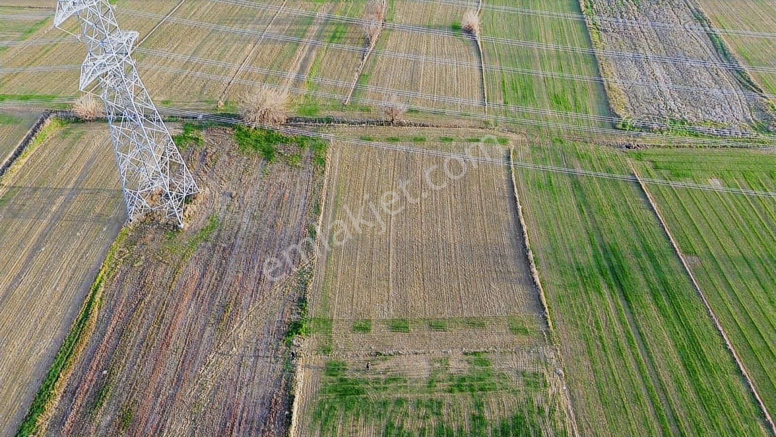 Gelibolu Kavak'ta Köye Ve Suya Çok Yakın 1624 M2 Müstakil Parsel - Görsel 7