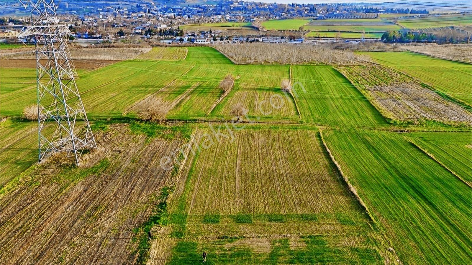 Gelibolu Kavak'ta Köye Ve Suya Çok Yakın 1624 M2 Müstakil Parsel - Görsel 10