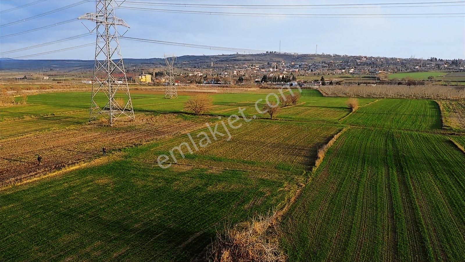 Gelibolu Kavak'ta Köye Ve Suya Çok Yakın 1624 M2 Müstakil Parsel - Görsel 3