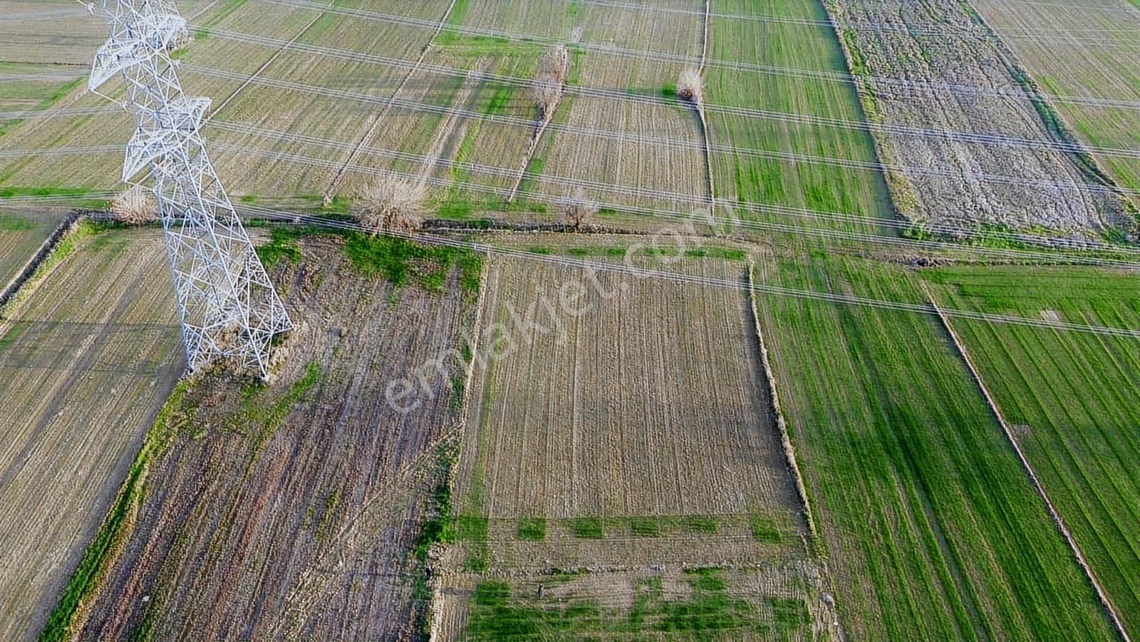 Gelibolu Kavak'ta Köye Ve Suya Çok Yakın 1624 M2 Müstakil Parsel - Görsel 27