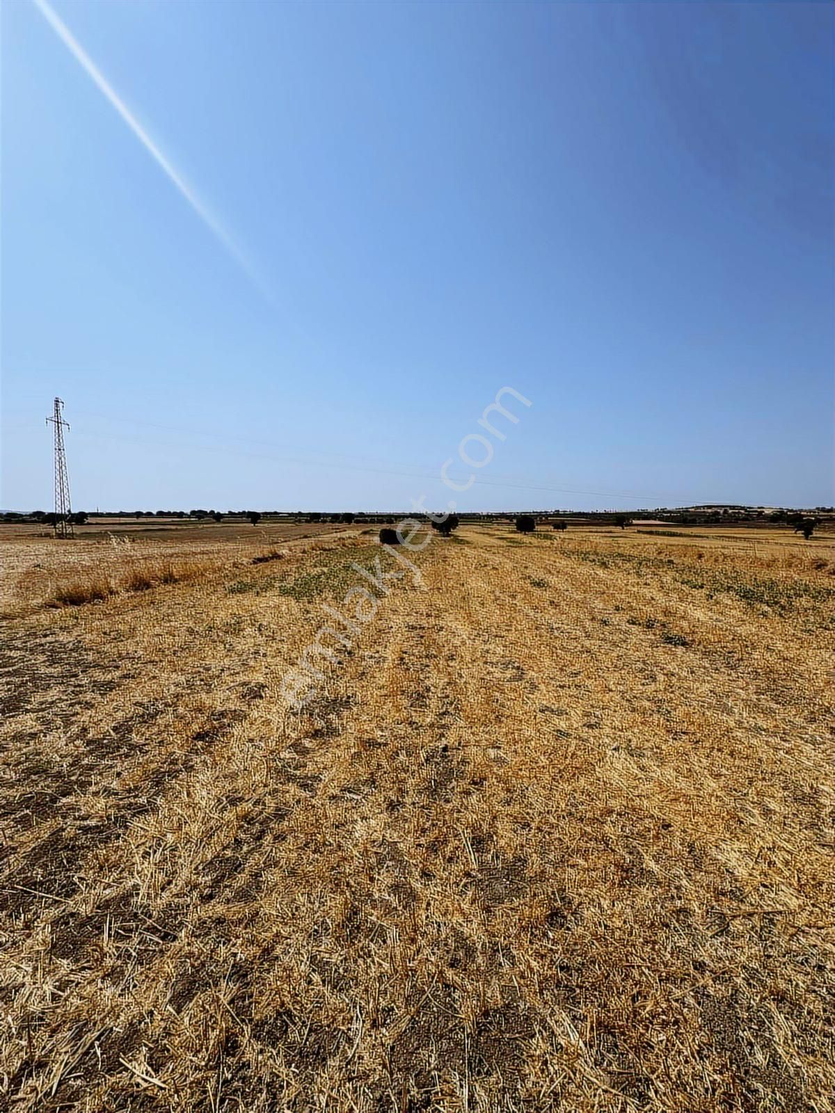 Çanakkale Merkez Halileli Köyünde Yatırımlık 5507 M2 Tarla - Görsel 31