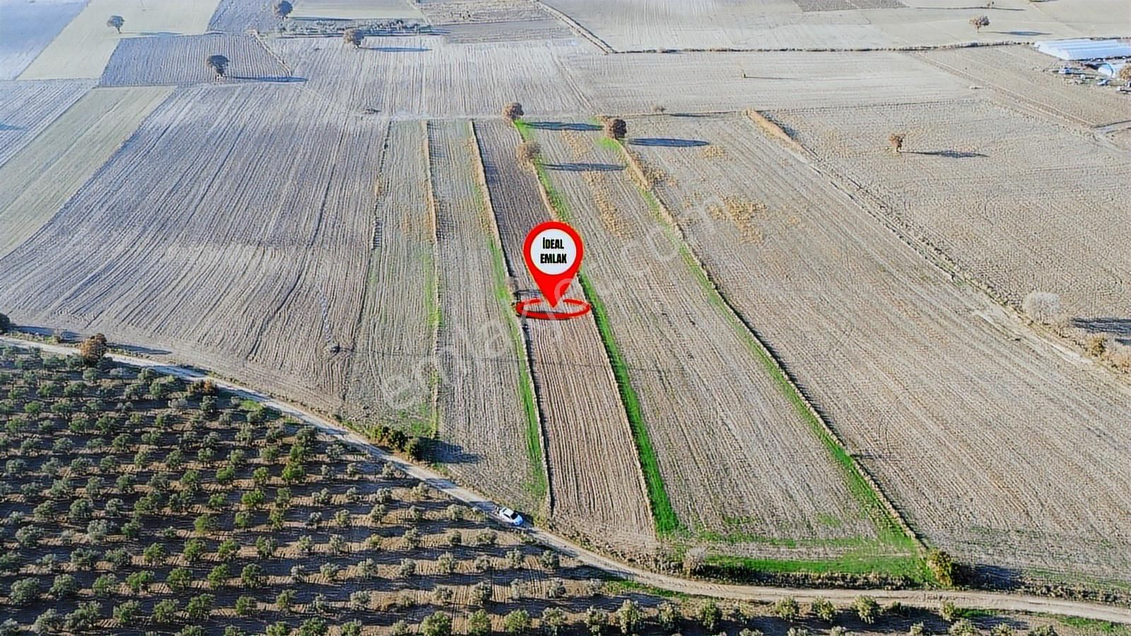 Çanakkale Merkez Halileli Köyünde Yatırımlık 5507 M2 Tarla - Görsel 11
