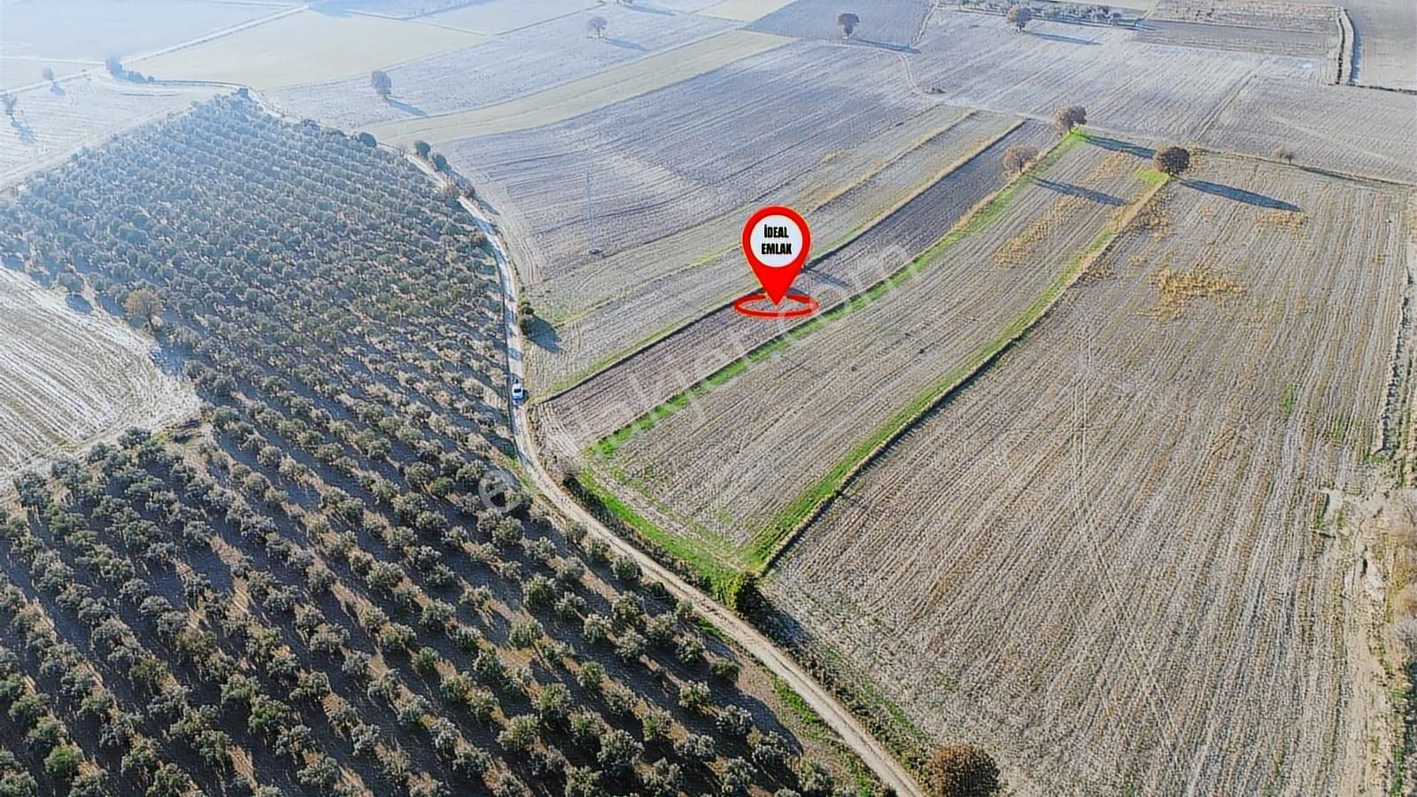 Çanakkale Merkez Halileli Köyünde Yatırımlık 5507 M2 Tarla - Görsel 5