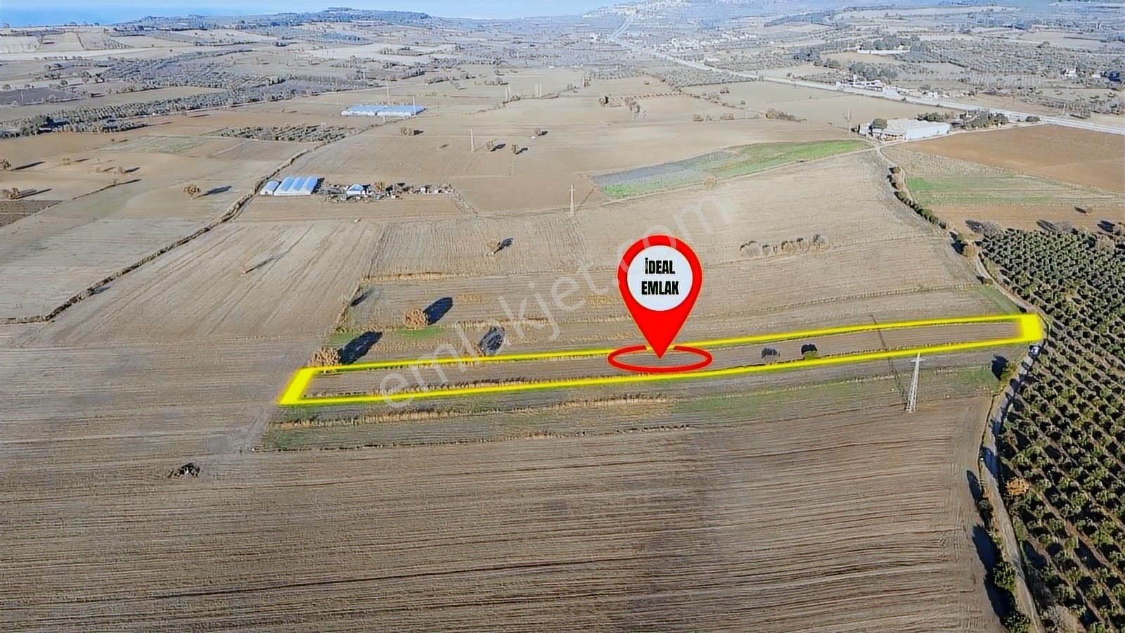 Çanakkale Merkez Halileli Köyünde Yatırımlık 5507 M2 Tarla