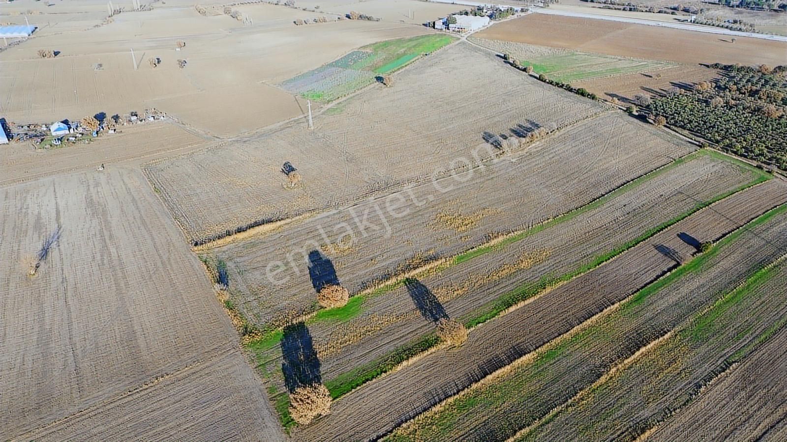 Çanakkale Merkez Halileli Köyünde Yatırımlık 5507 M2 Tarla - Görsel 18