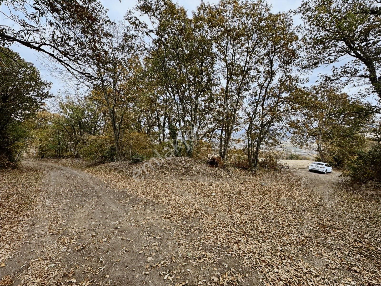 Çanakkale Çan Altıkulaç Köyünde Fırsat Değerde 15.136 M2 Tarla - Görsel 28