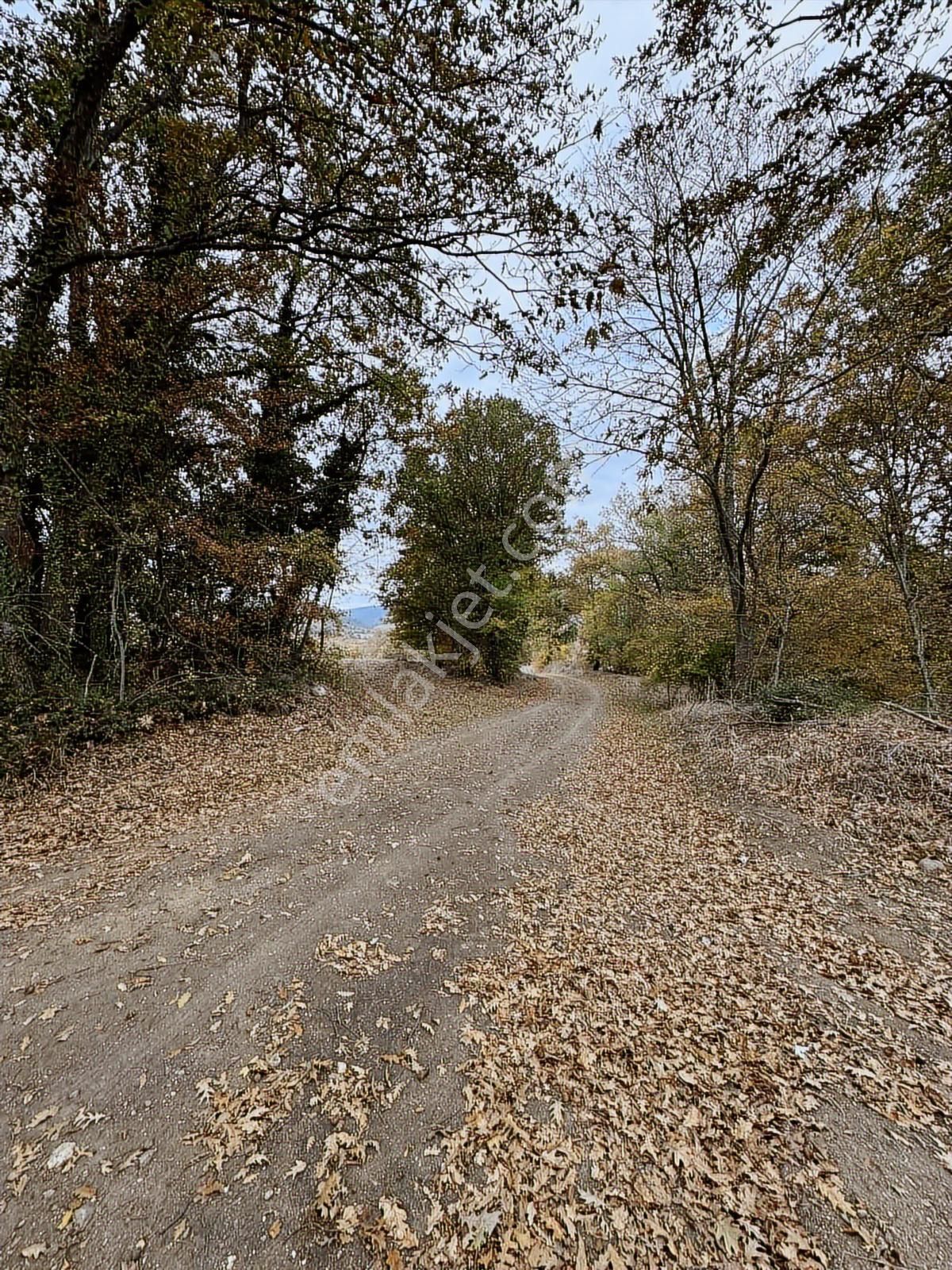 Çanakkale Çan Altıkulaç Köyünde Fırsat Değerde 15.136 M2 Tarla - Görsel 31