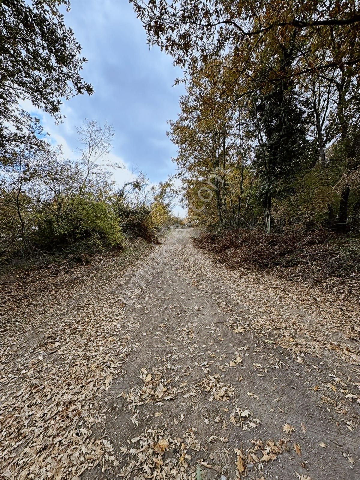 Çanakkale Çan Altıkulaç Köyünde Fırsat Değerde 15.136 M2 Tarla - Görsel 3