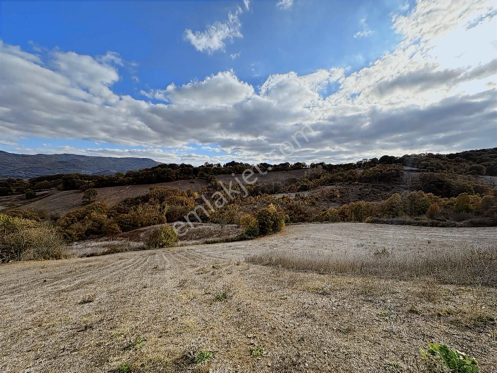 Çanakkale Çan Altıkulaç Köyünde Fırsat Değerde 15.136 M2 Tarla - Görsel 33