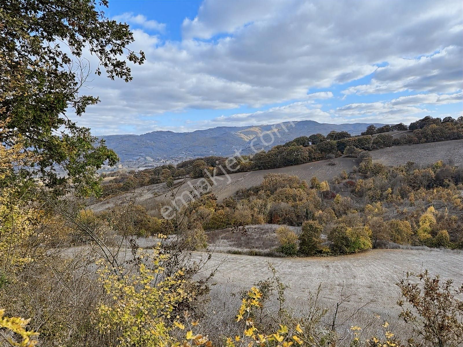 Çanakkale Çan Altıkulaç Köyünde Fırsat Değerde 15.136 M2 Tarla - Görsel 25