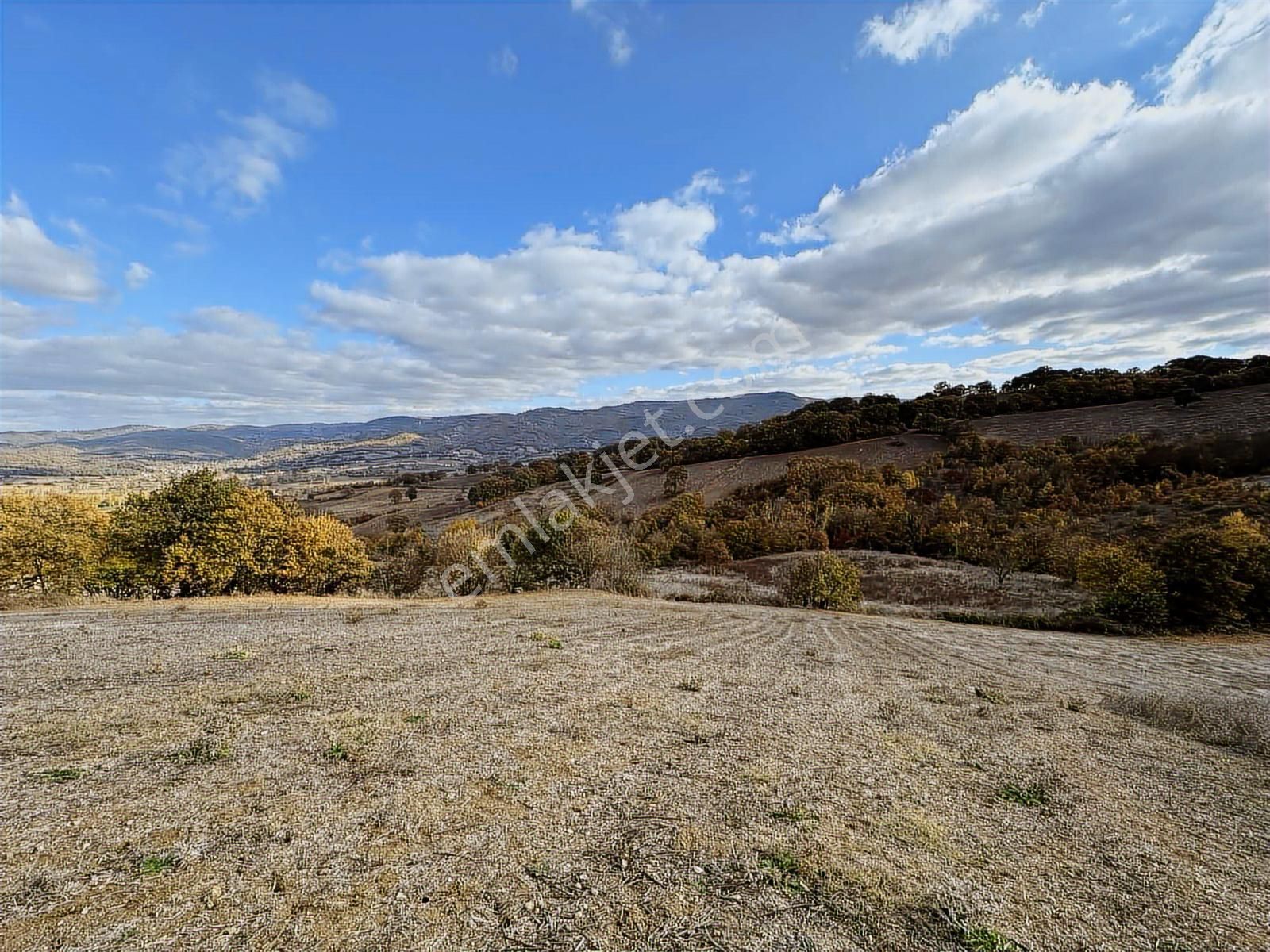 Çanakkale Çan Altıkulaç Köyünde Fırsat Değerde 15.136 M2 Tarla - Görsel 13