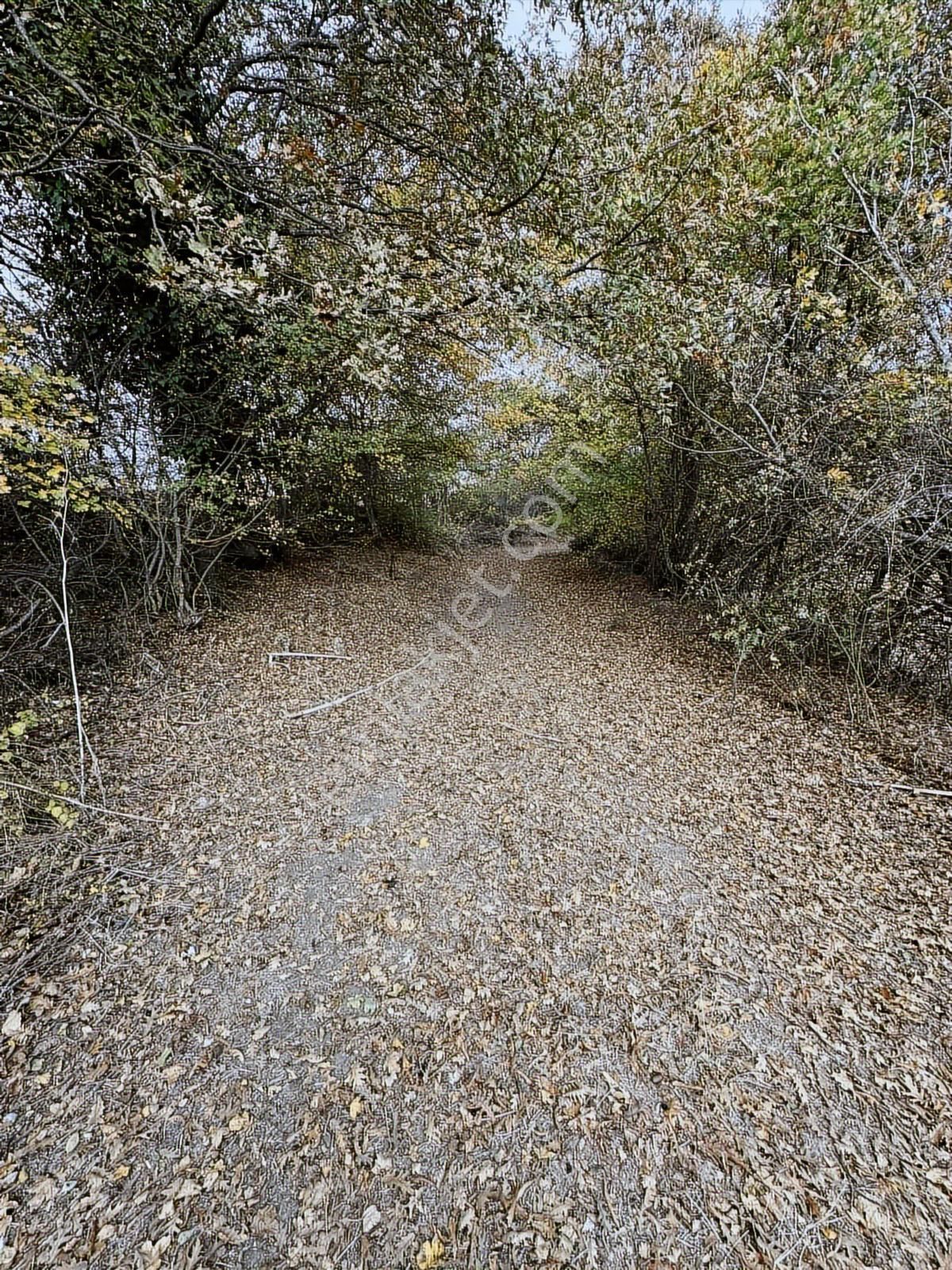 Çanakkale Çan Altıkulaç Köyünde Fırsat Değerde 15.136 M2 Tarla - Görsel 16