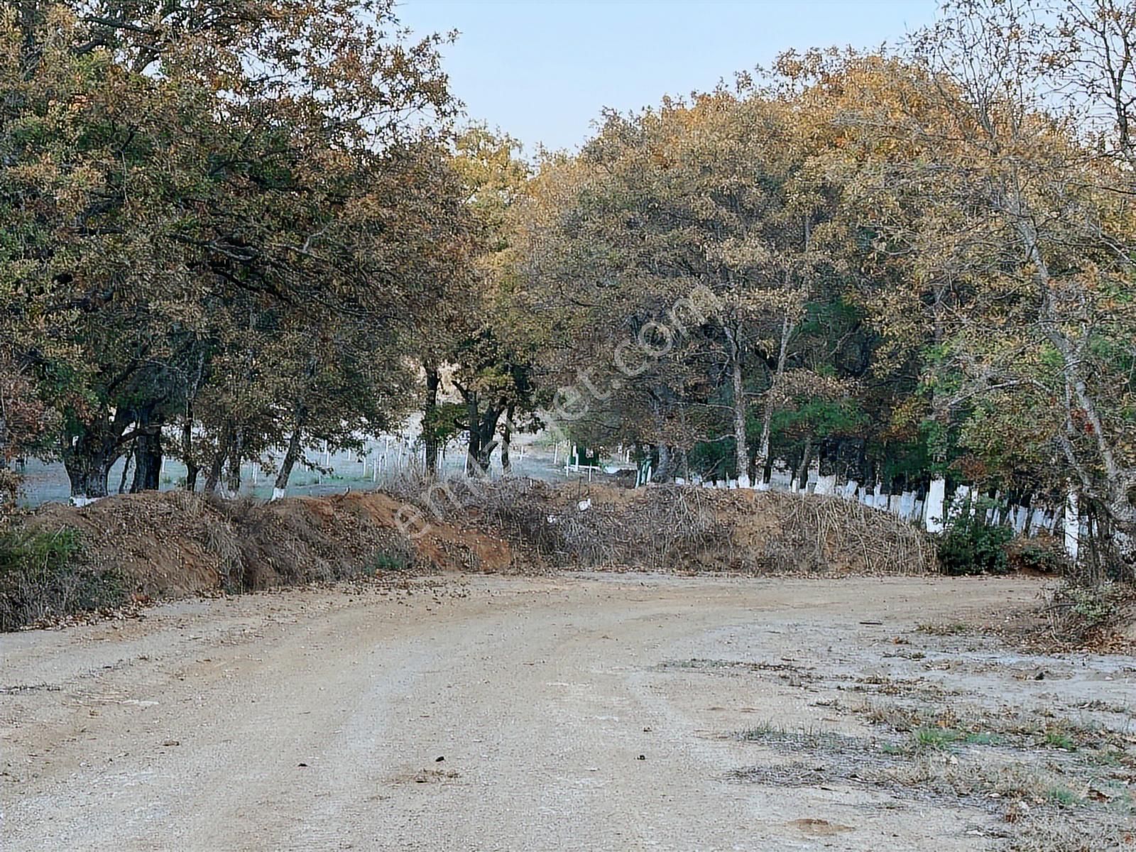 Fırsat Fiyatta!!! Çanakkale Çan Altıkulaç'ta 51.529 M2 Arazi - Görsel 6