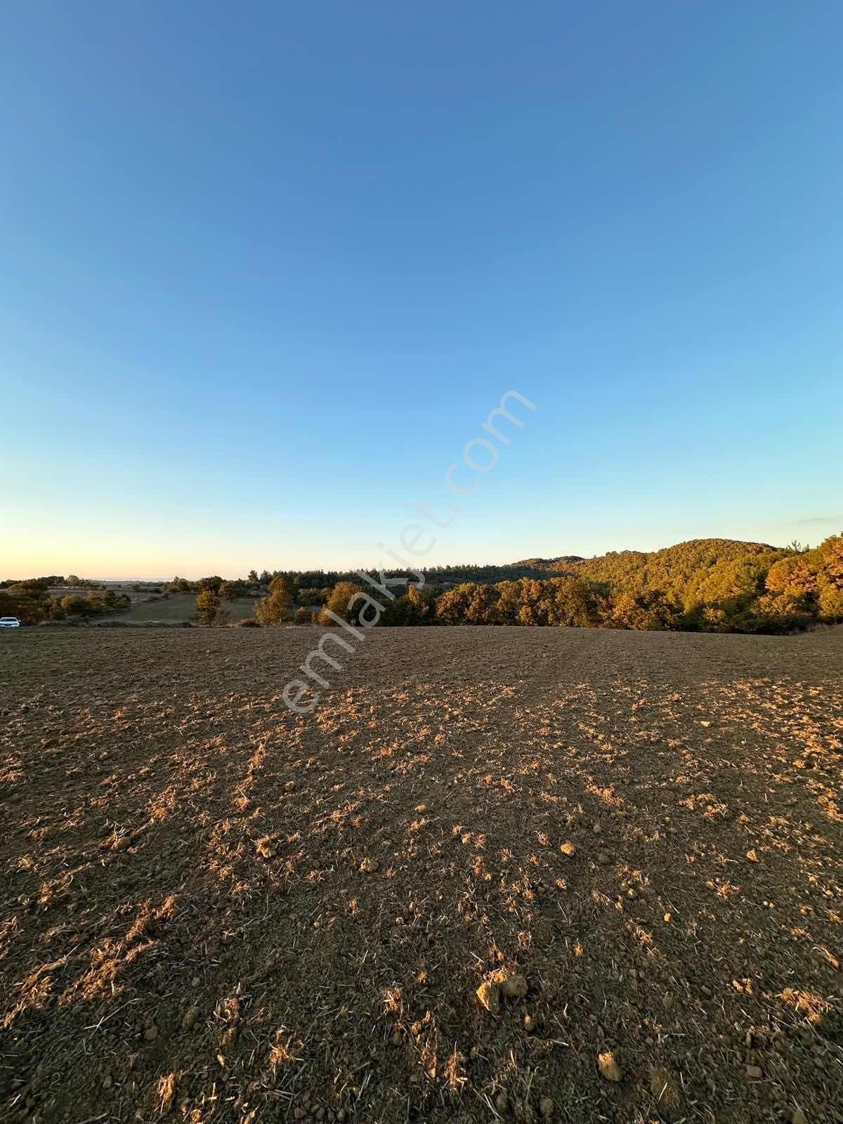 Fırsat Fiyatta!!! Çanakkale Çan Altıkulaç'ta 51.529 M2 Arazi - Görsel 15