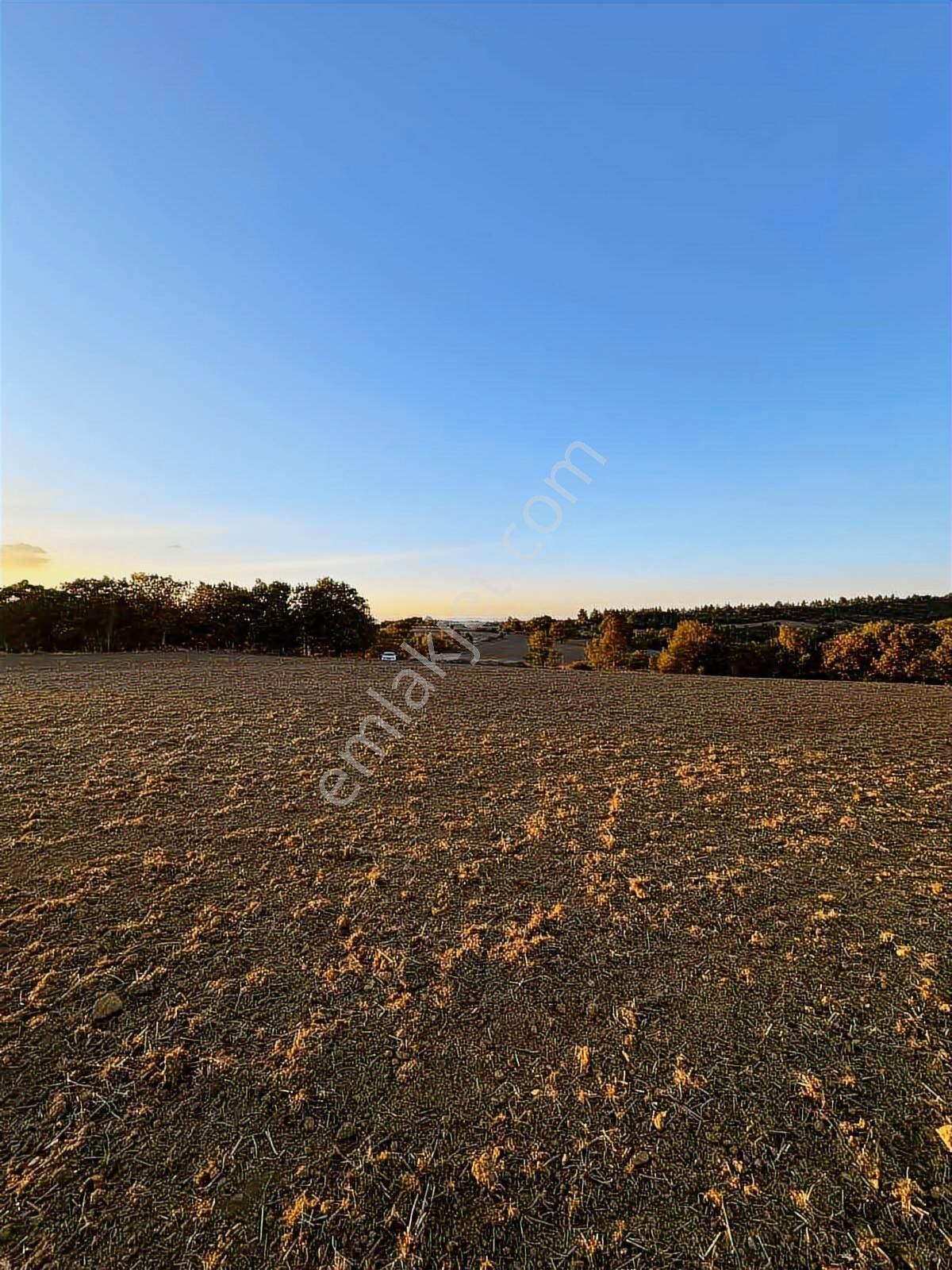 Fırsat Fiyatta!!! Çanakkale Çan Altıkulaç'ta 51.529 M2 Arazi - Görsel 28