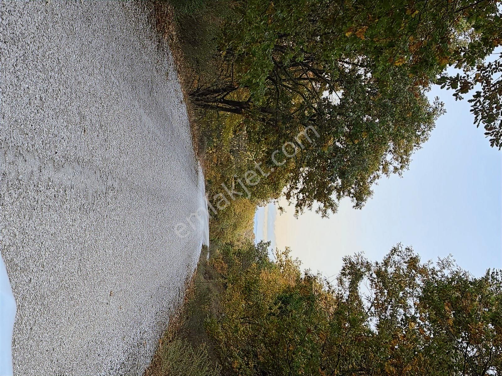 Fırsat Fiyatta!!! Çanakkale Çan Altıkulaç'ta 51.529 M2 Arazi - Görsel 25