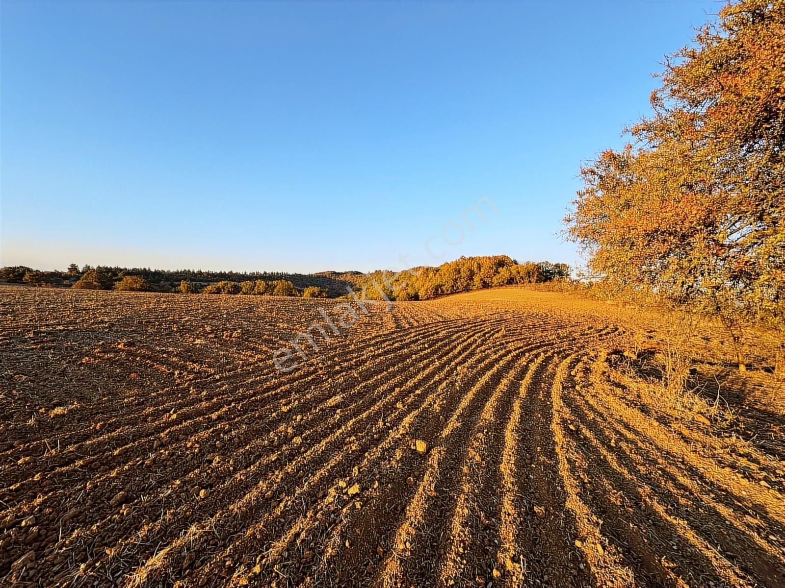 Fırsat Fiyatta!!! Çanakkale Çan Altıkulaç'ta 51.529 M2 Arazi - Görsel 4