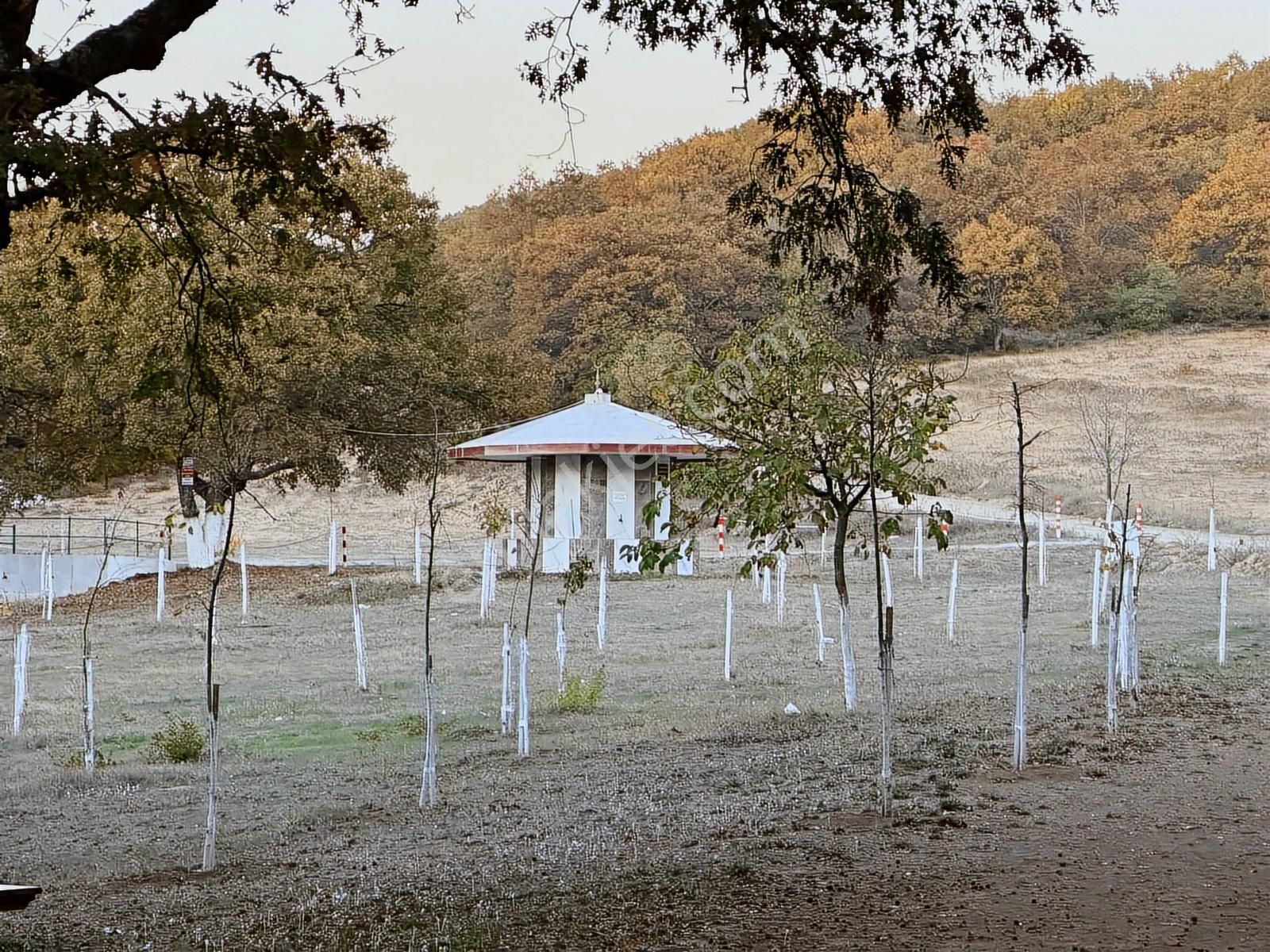 Fırsat Fiyatta!!! Çanakkale Çan Altıkulaç'ta 51.529 M2 Arazi - Görsel 21