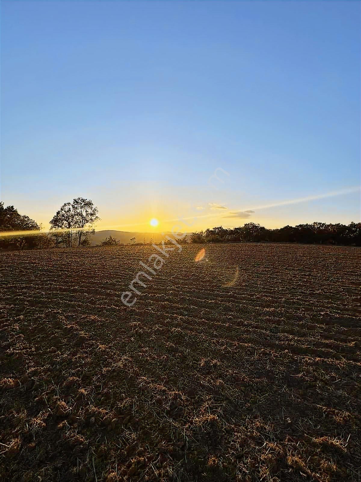 Fırsat Fiyatta!!! Çanakkale Çan Altıkulaç'ta 51.529 M2 Arazi - Görsel 29