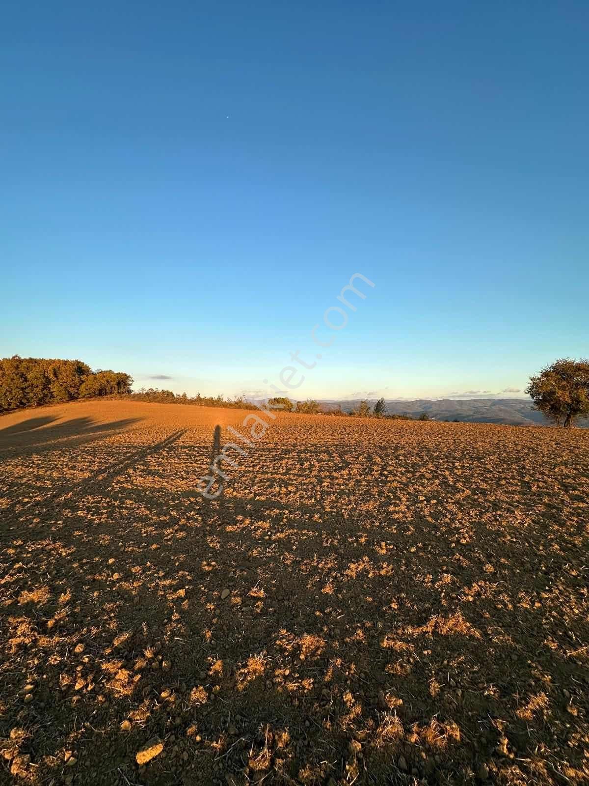 Fırsat Fiyatta!!! Çanakkale Çan Altıkulaç'ta 51.529 M2 Arazi - Görsel 14