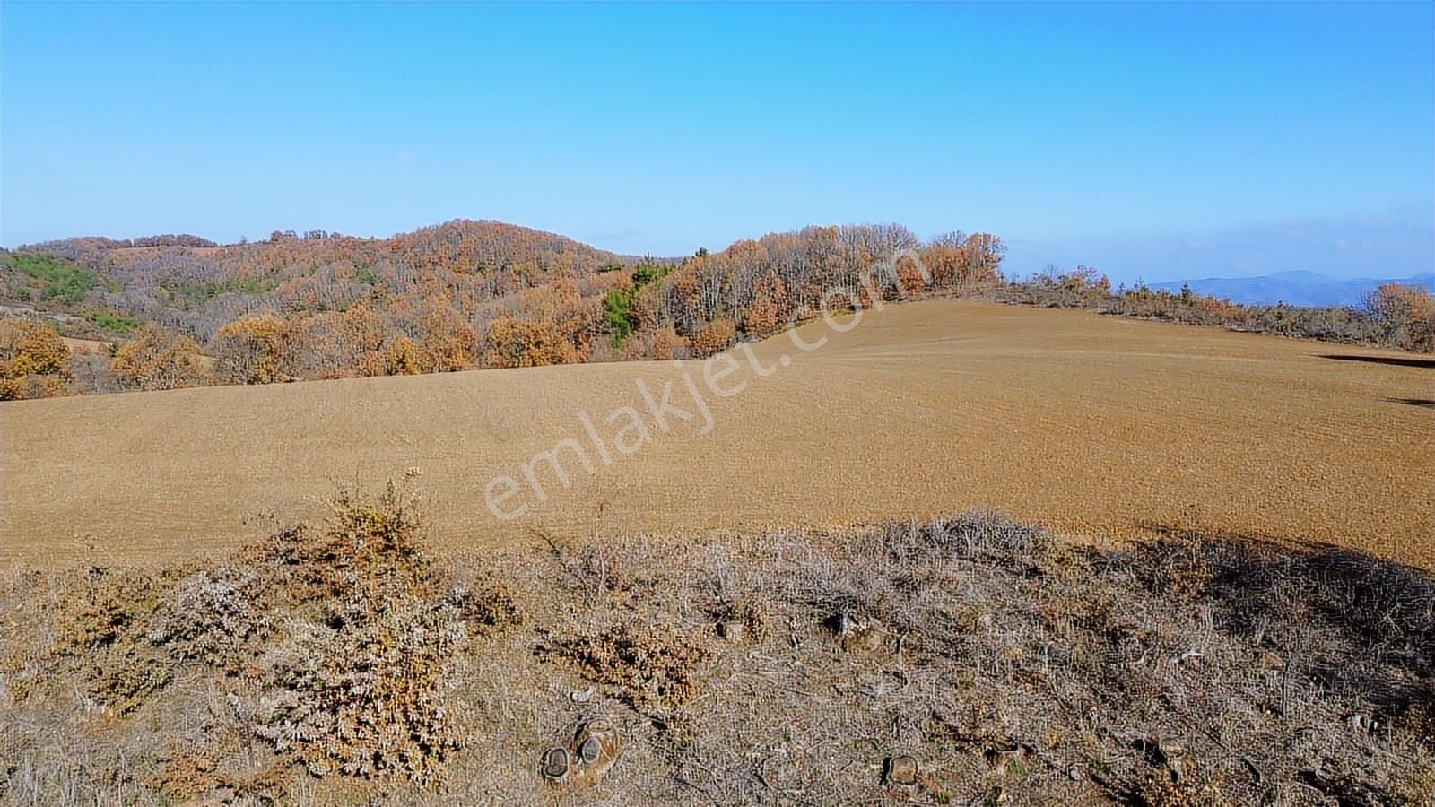 Fırsat Fiyatta!!! Çanakkale Çan Altıkulaç'ta 51.529 M2 Arazi - Görsel 3