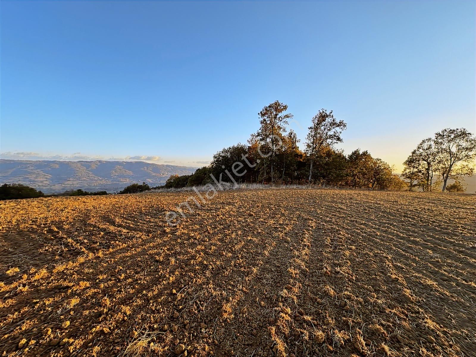 Fırsat Fiyatta!!! Çanakkale Çan Altıkulaç'ta 51.529 M2 Arazi - Görsel 35