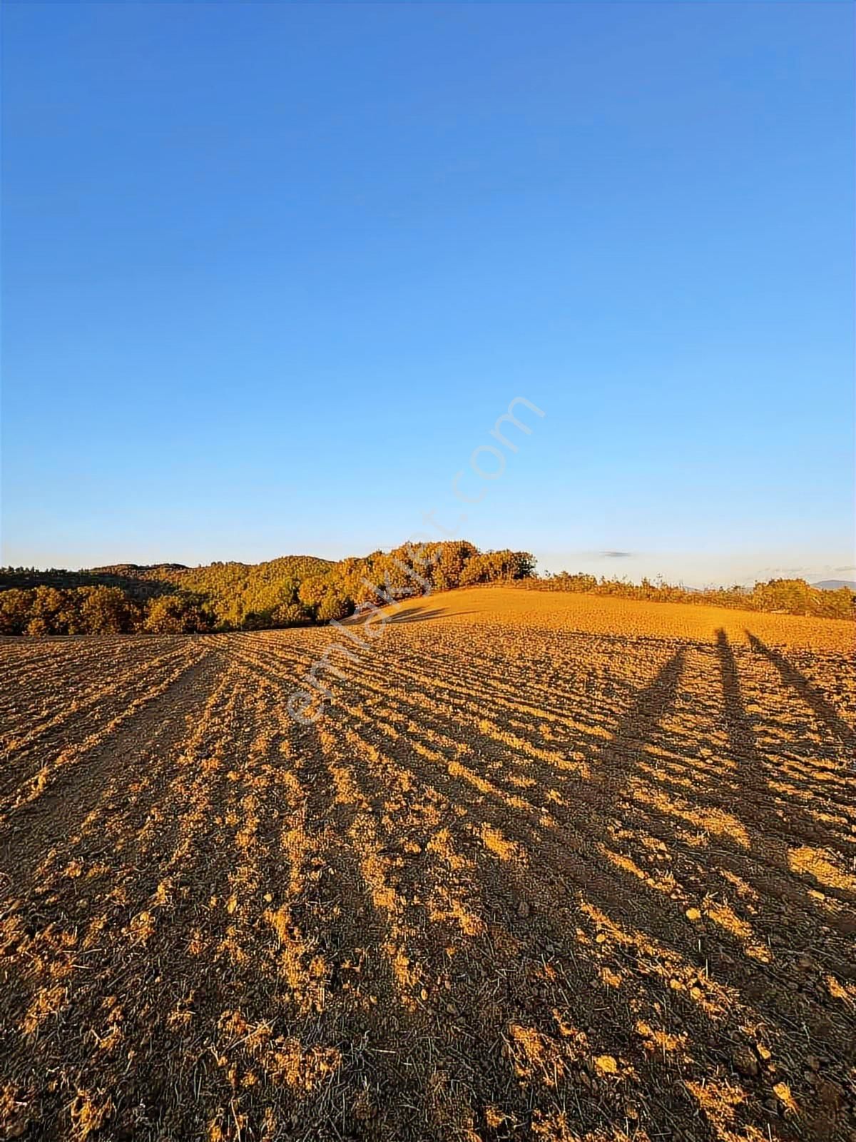 Fırsat Fiyatta!!! Çanakkale Çan Altıkulaç'ta 51.529 M2 Arazi - Görsel 7
