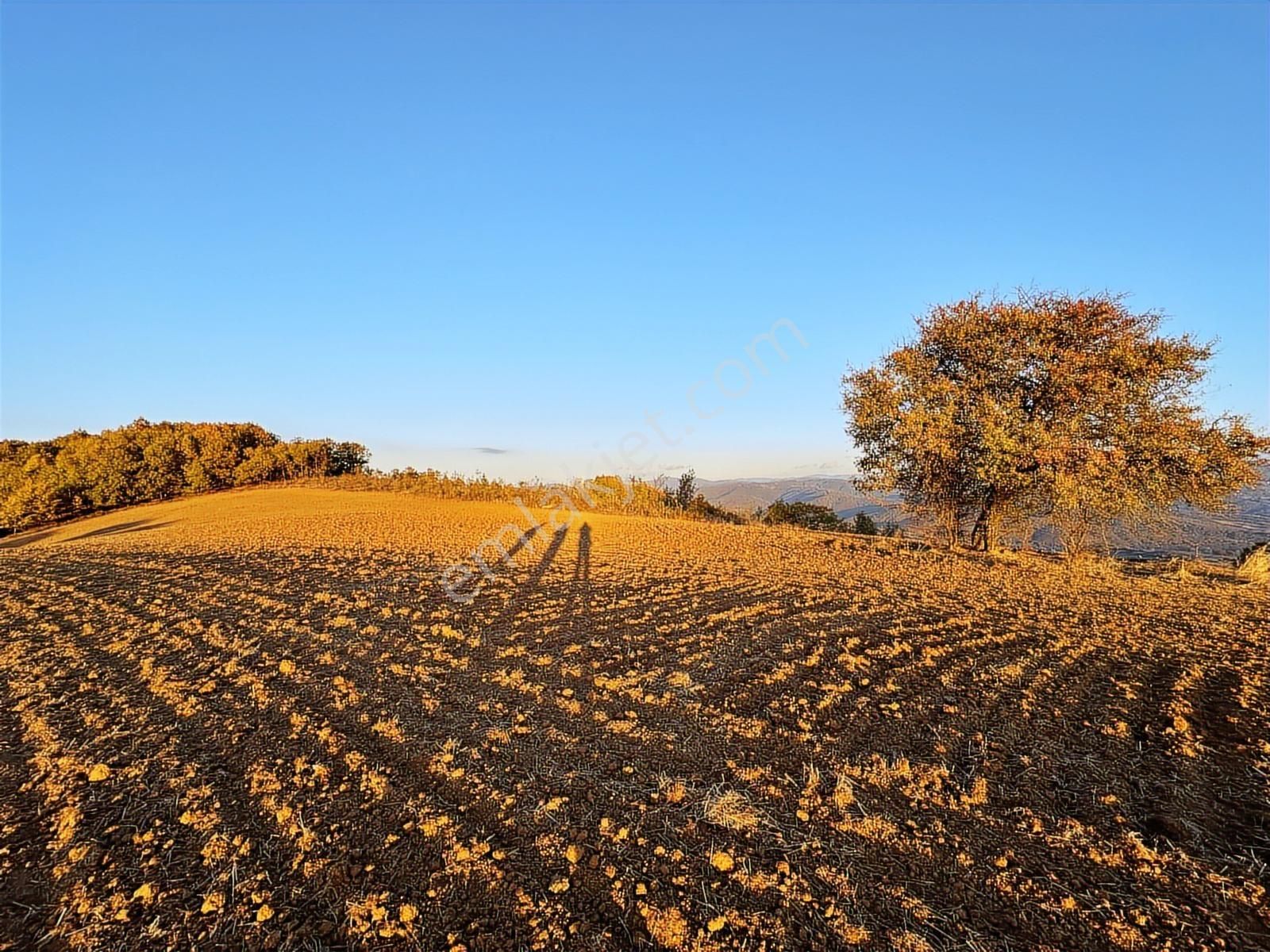 Fırsat Fiyatta!!! Çanakkale Çan Altıkulaç'ta 51.529 M2 Arazi - Görsel 27