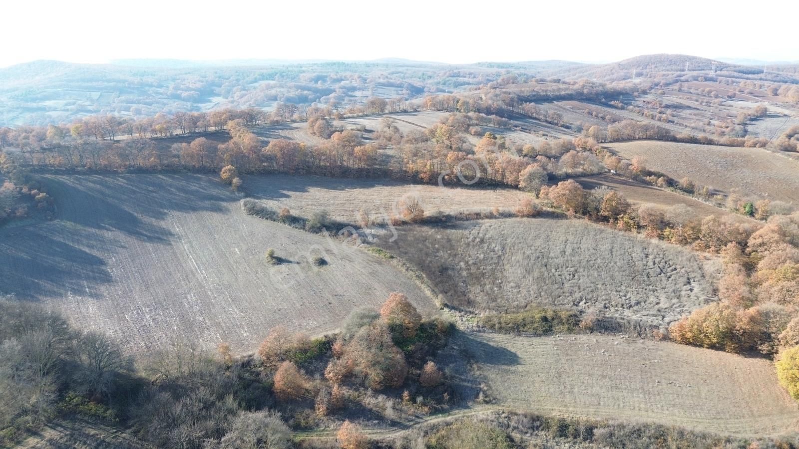 Fırsat!!! Çanakkale Çan Altıkulaç'ta Yolu Olan 6.245 M2 Tarla - Görsel 6