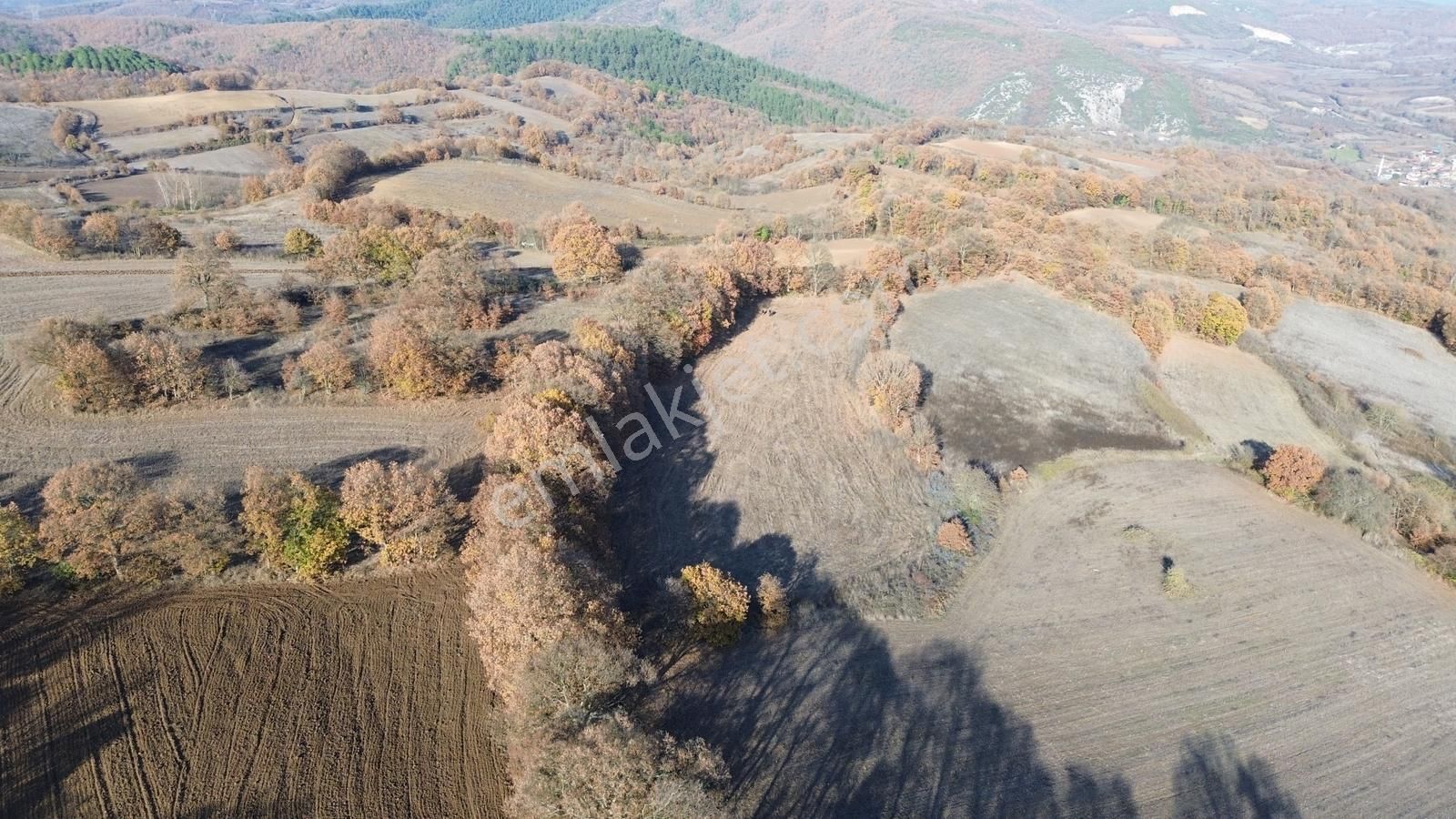 Fırsat!!! Çanakkale Çan Altıkulaç'ta Yolu Olan 6.245 M2 Tarla - Görsel 12