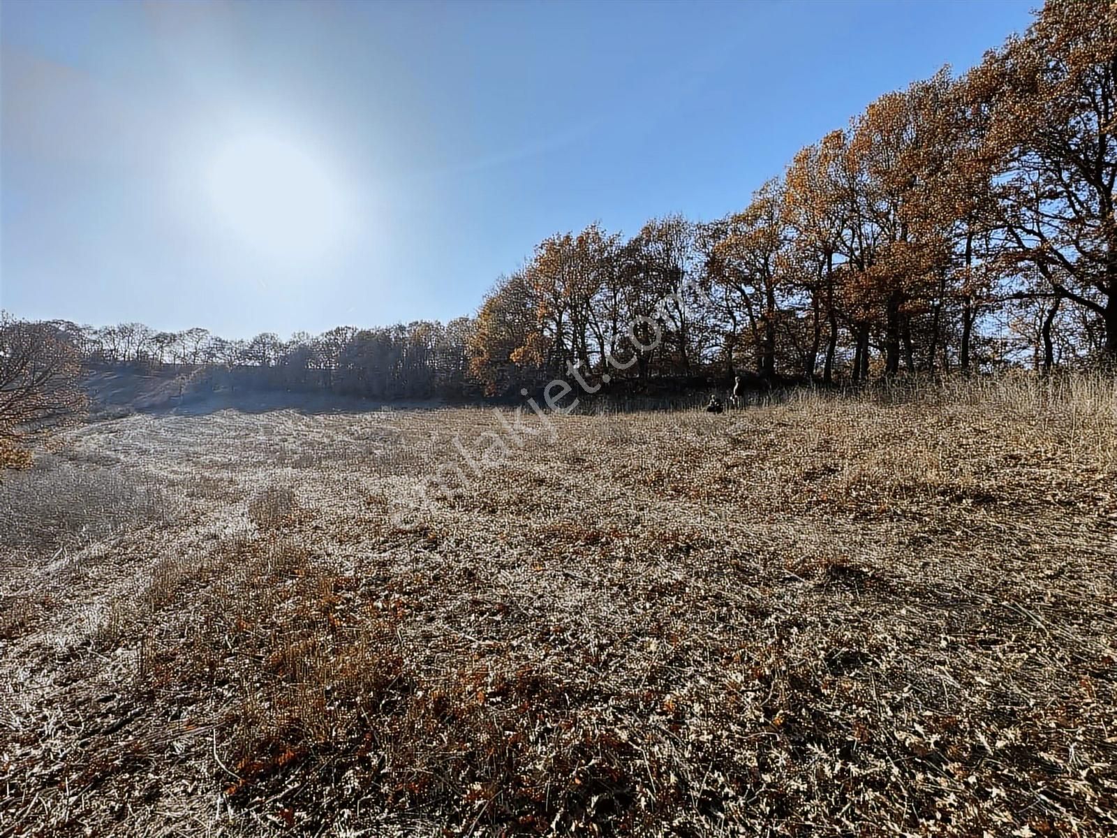 Fırsat!!! Çanakkale Çan Altıkulaç'ta Yolu Olan 6.245 M2 Tarla - Görsel 3