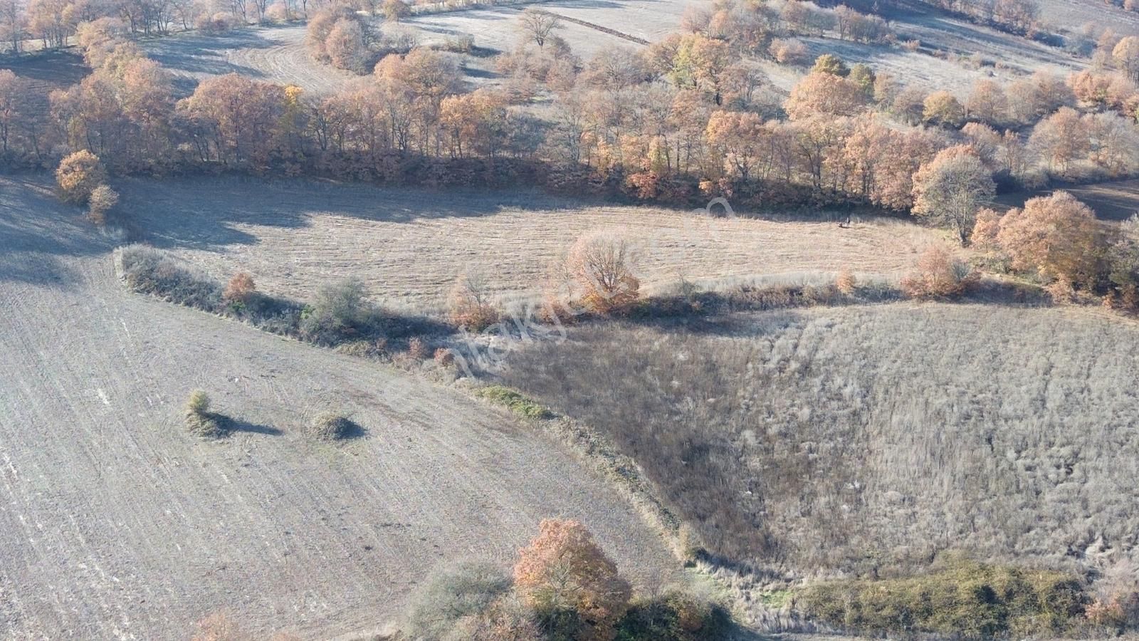 Fırsat!!! Çanakkale Çan Altıkulaç'ta Yolu Olan 6.245 M2 Tarla - Görsel 2