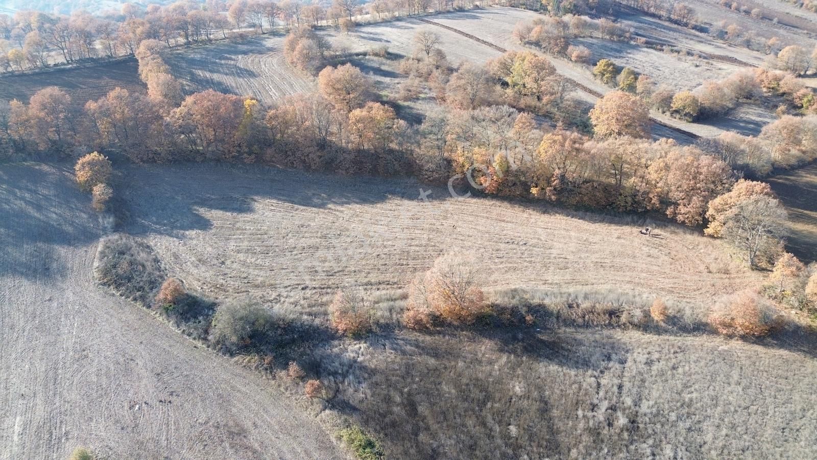 Fırsat!!! Çanakkale Çan Altıkulaç'ta Yolu Olan 6.245 M2 Tarla - Görsel 19