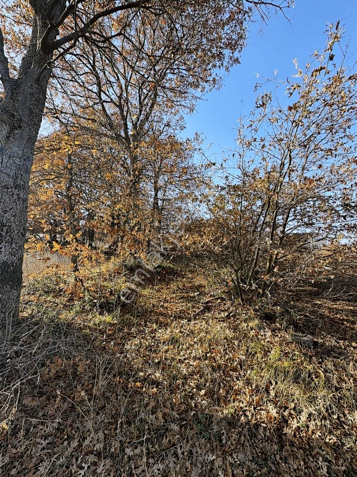 Fırsat!!! Çanakkale Çan Altıkulaç'ta Yolu Olan 6.245 M2 Tarla - Görsel 16