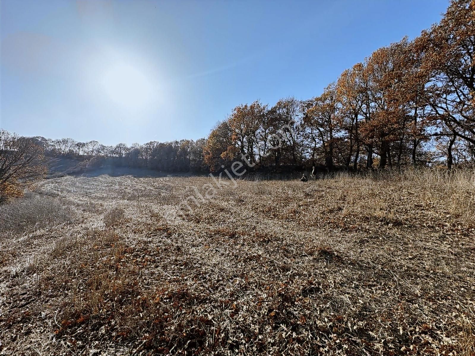 Fırsat!!! Çanakkale Çan Altıkulaç'ta Yolu Olan 6.245 M2 Tarla - Görsel 10