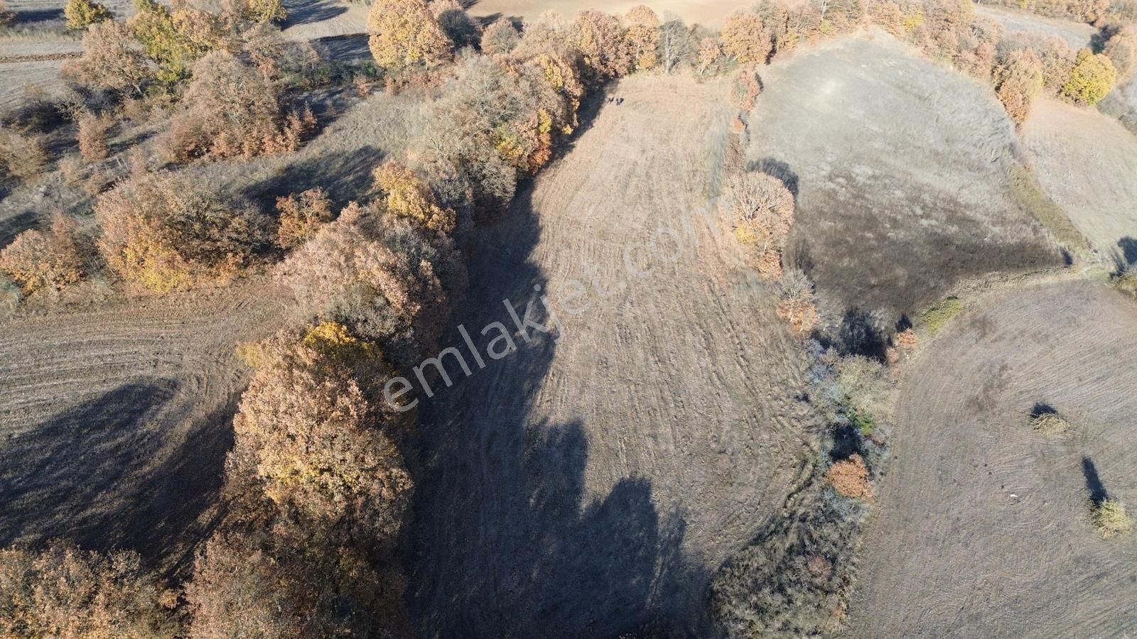 Fırsat!!! Çanakkale Çan Altıkulaç'ta Yolu Olan 6.245 M2 Tarla - Görsel 8