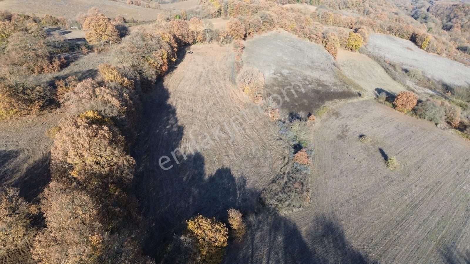 Fırsat!!! Çanakkale Çan Altıkulaç'ta Yolu Olan 6.245 M2 Tarla - Görsel 9