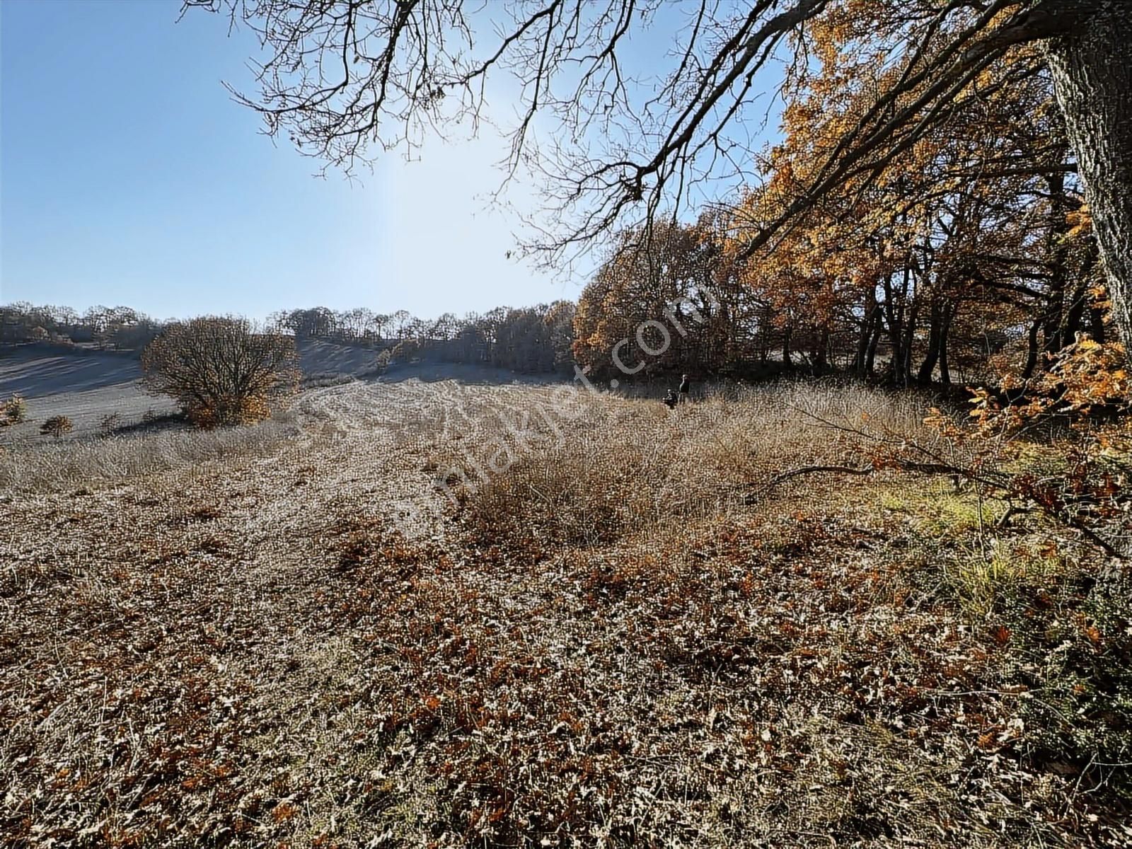 Fırsat!!! Çanakkale Çan Altıkulaç'ta Yolu Olan 6.245 M2 Tarla - Görsel 5