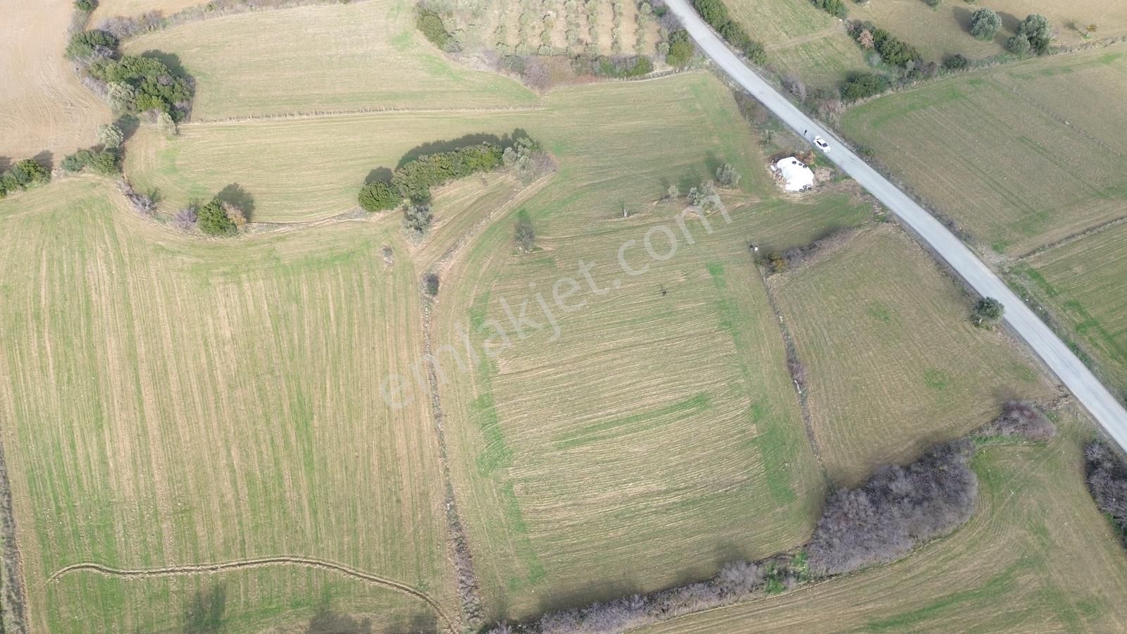 Çanakkale Eceabat Beşyol'da Ana Asfalta Geniş Cepheli 6285 M2 - Görsel 21