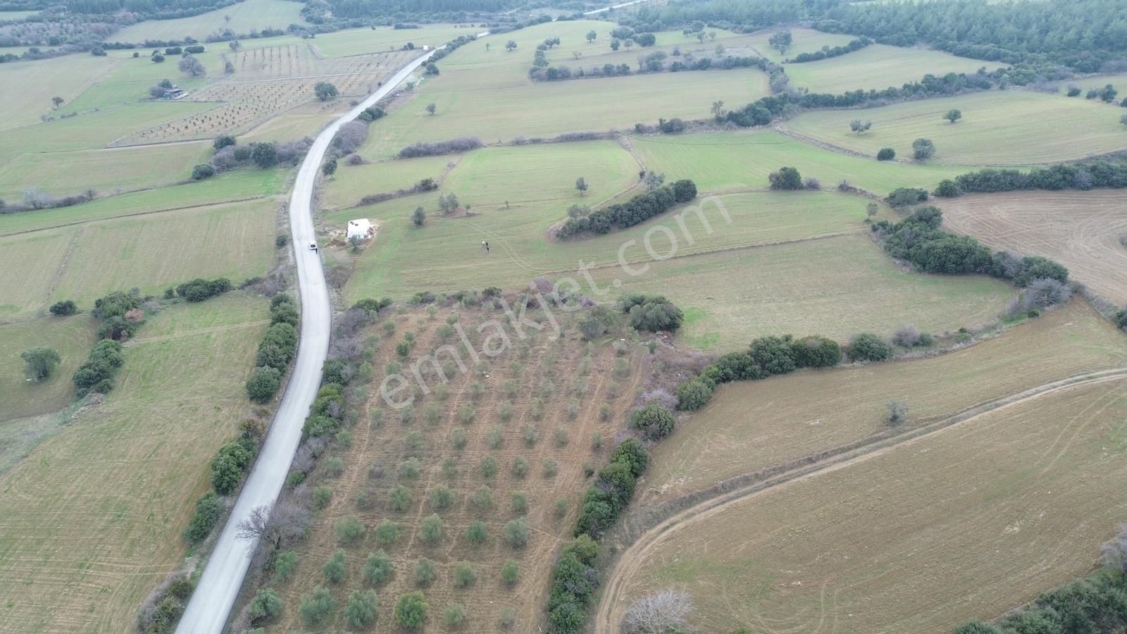 Çanakkale Eceabat Beşyol'da Ana Asfalta Geniş Cepheli 6285 M2 - Görsel 24