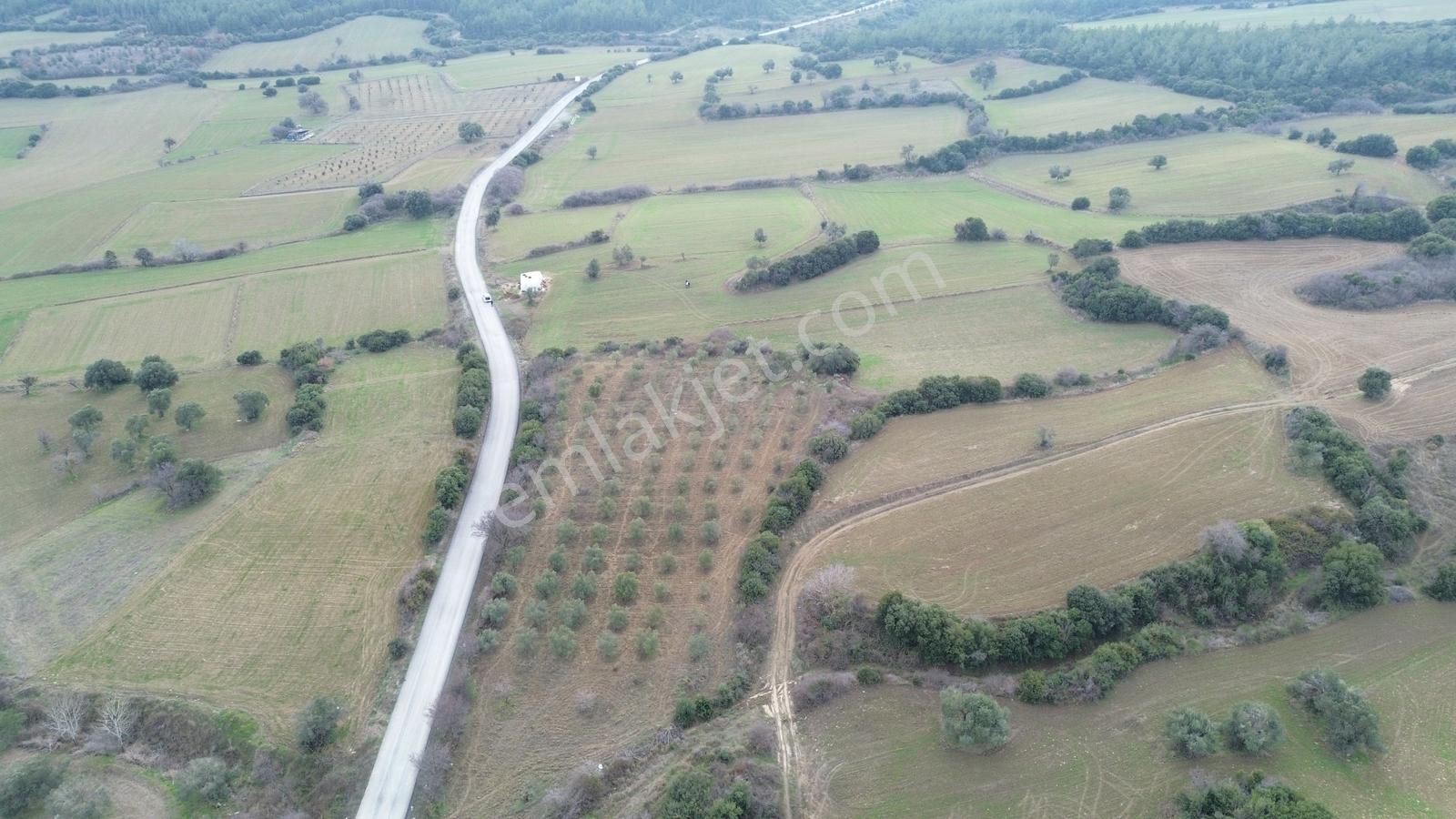 Çanakkale Eceabat Beşyol'da Ana Asfalta Geniş Cepheli 6285 M2 - Görsel 2