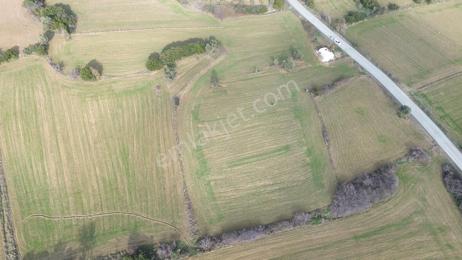 Çanakkale Eceabat Beşyol'da Ana Asfalta Geniş Cepheli 6285 M2 - Görsel 31